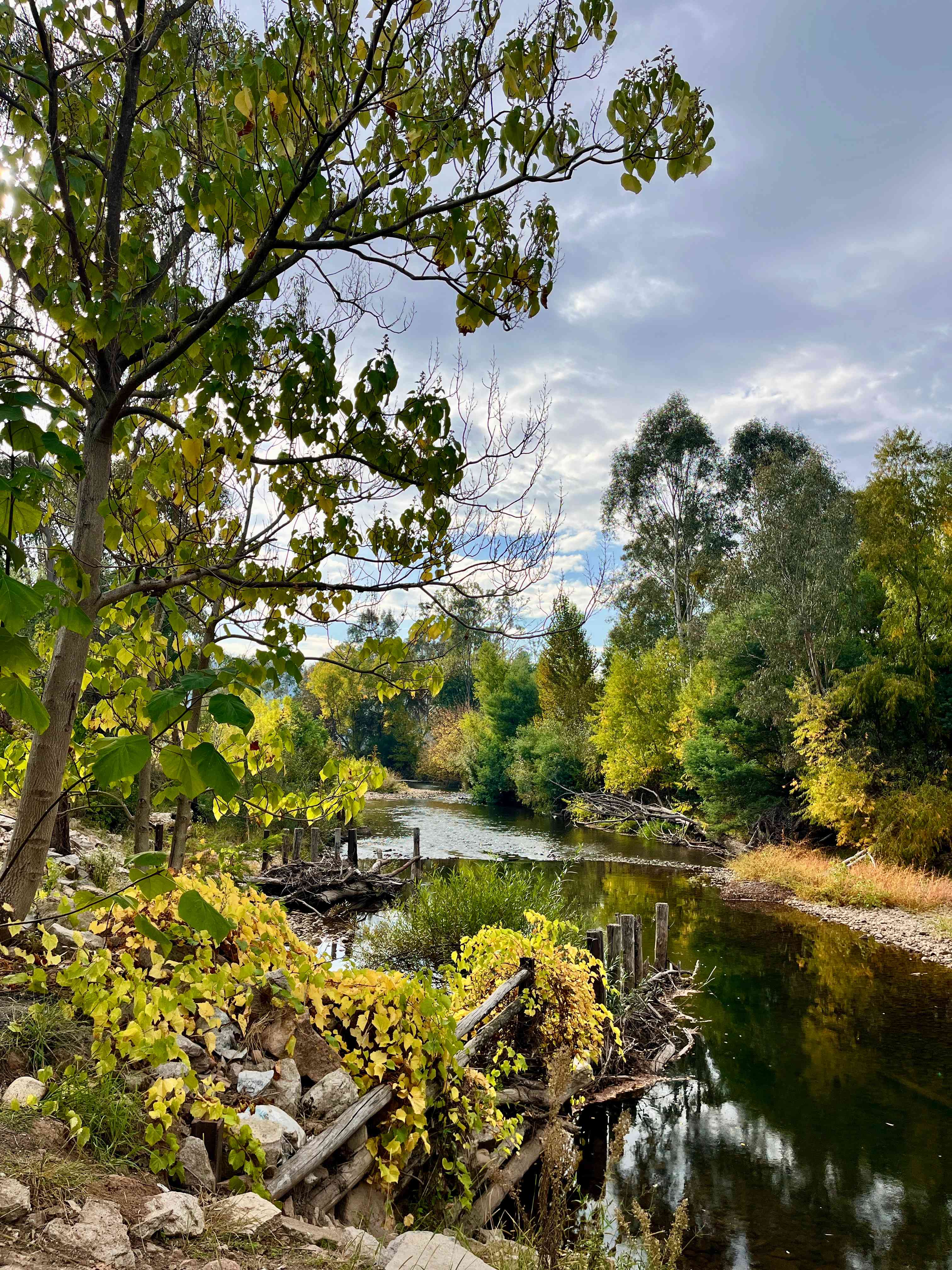 Riverside King Valley