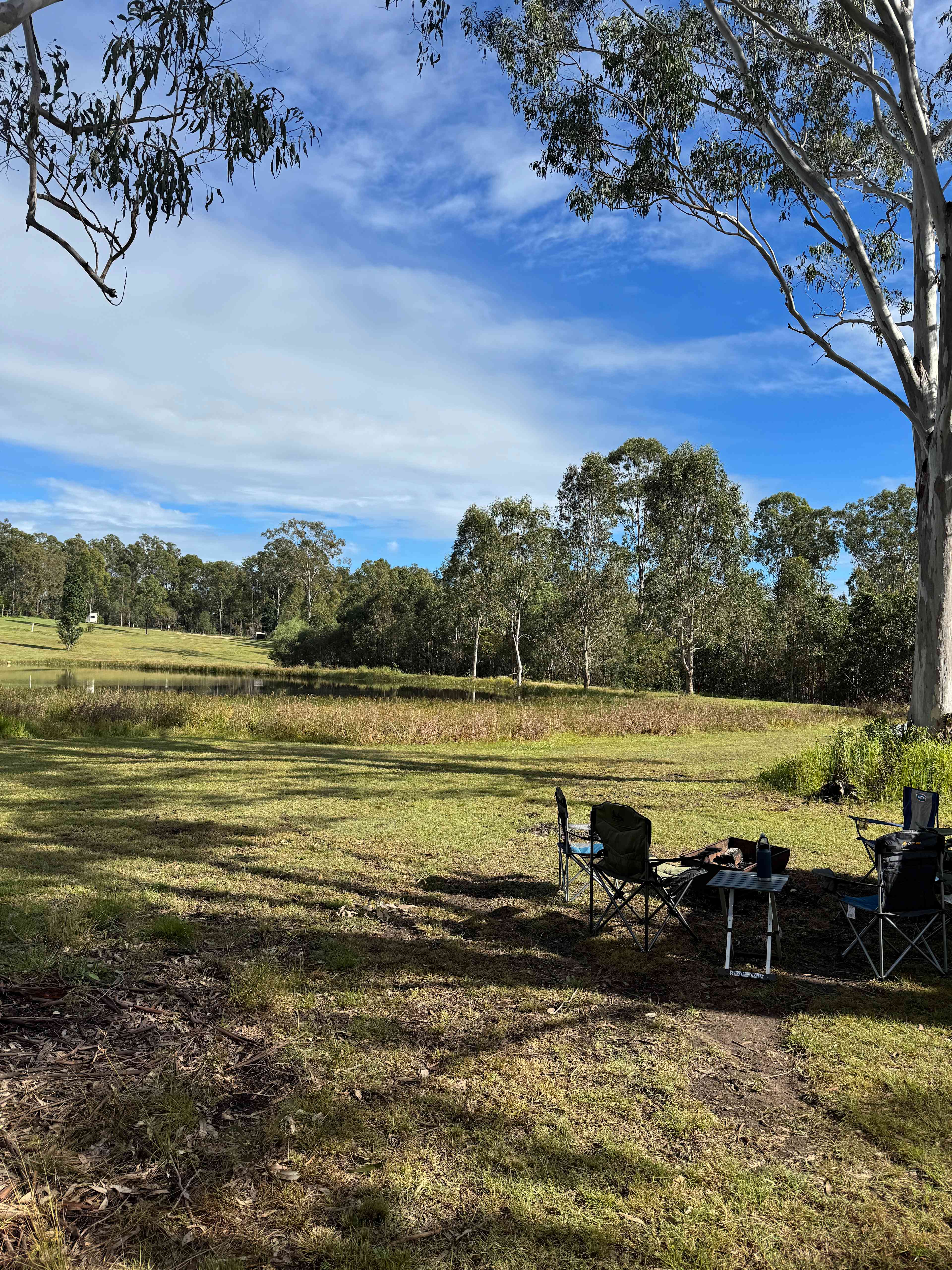 3 trees campsite 