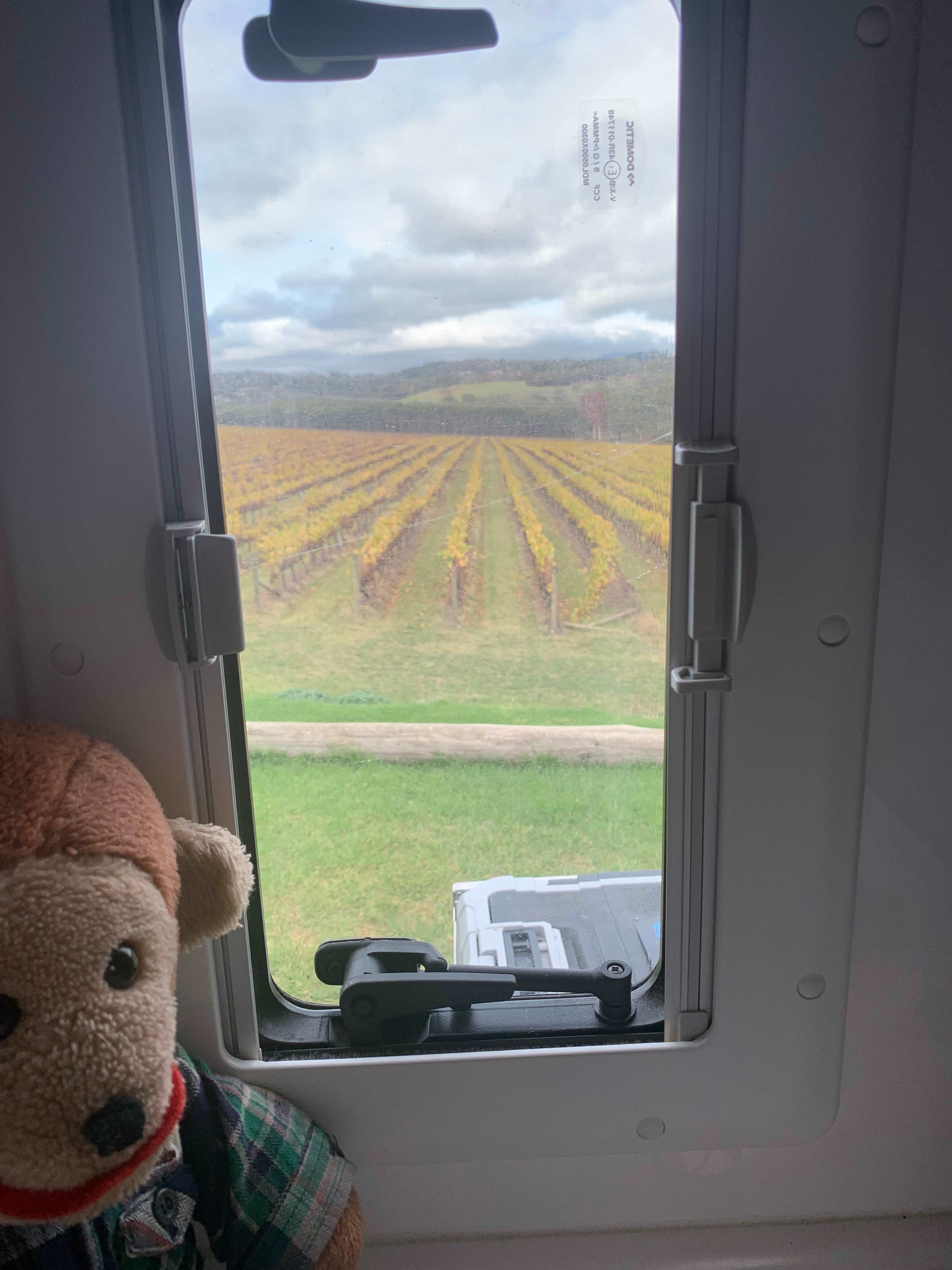 View from window next to bed. 