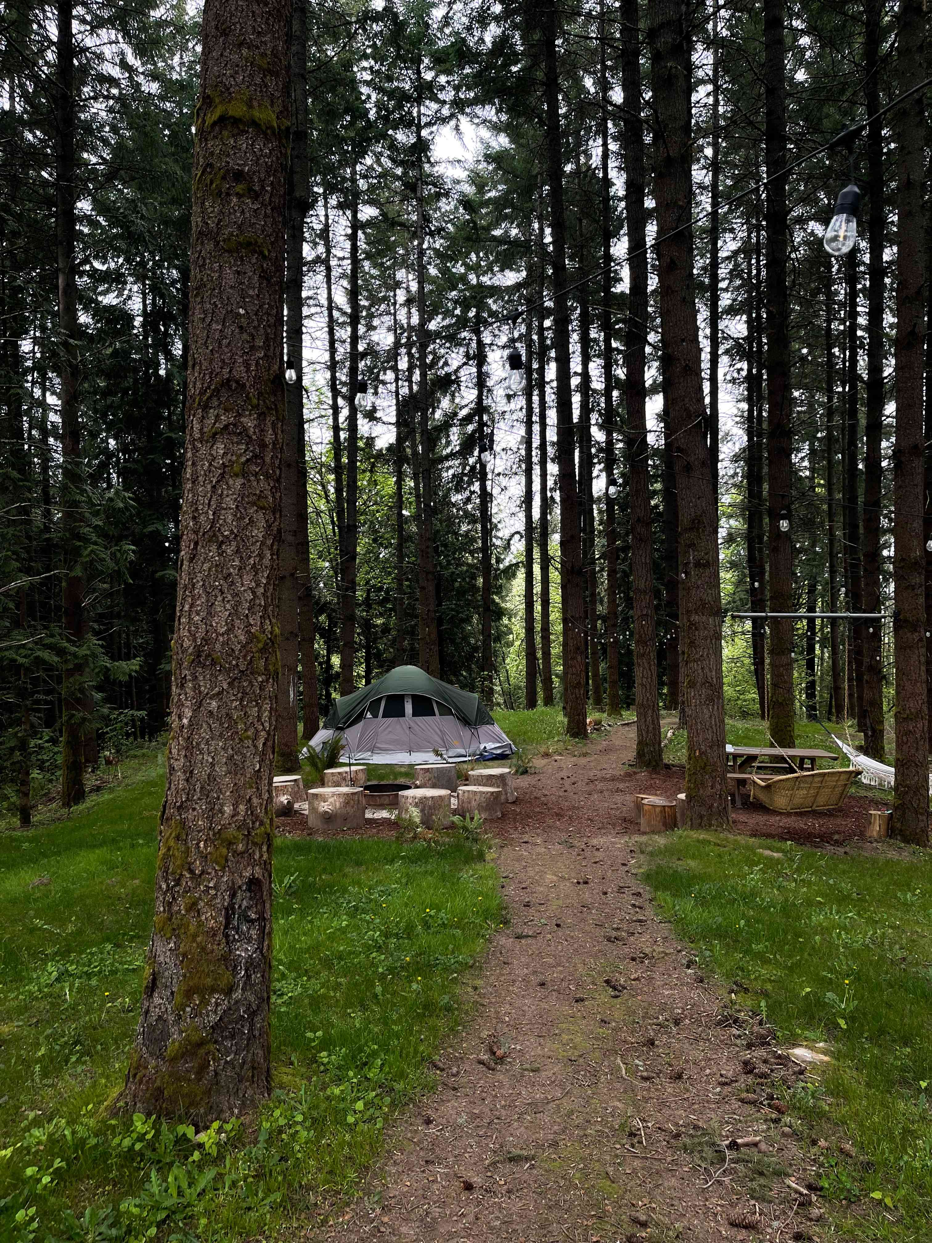 Akitaaru Forest Camp