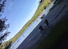 Southern Adirondack Pines Campground & Cabins