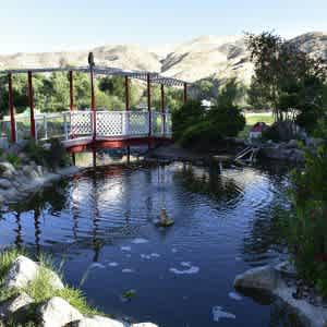Cali Lake RV Resort