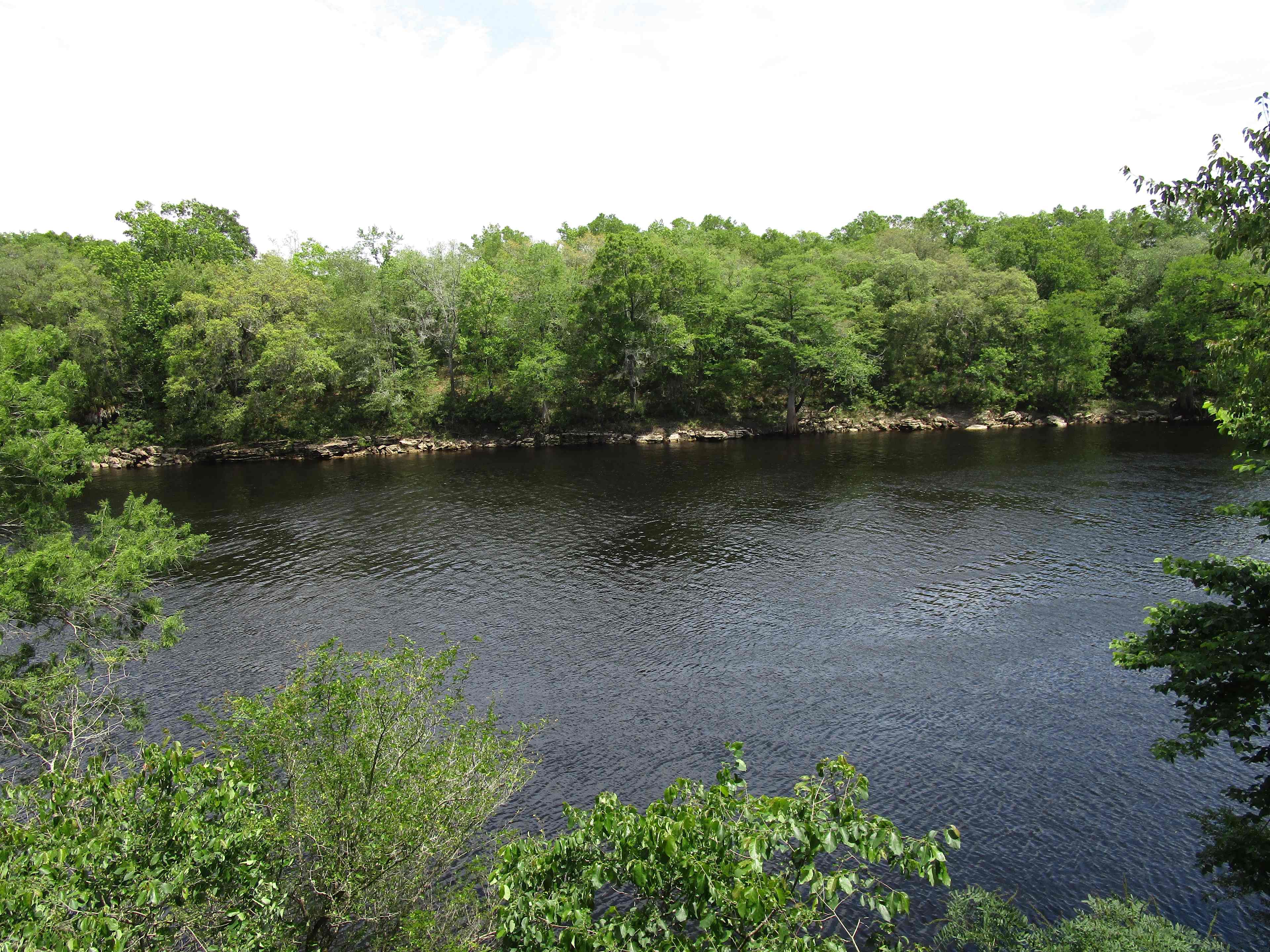 Suwannee River Rendezvous