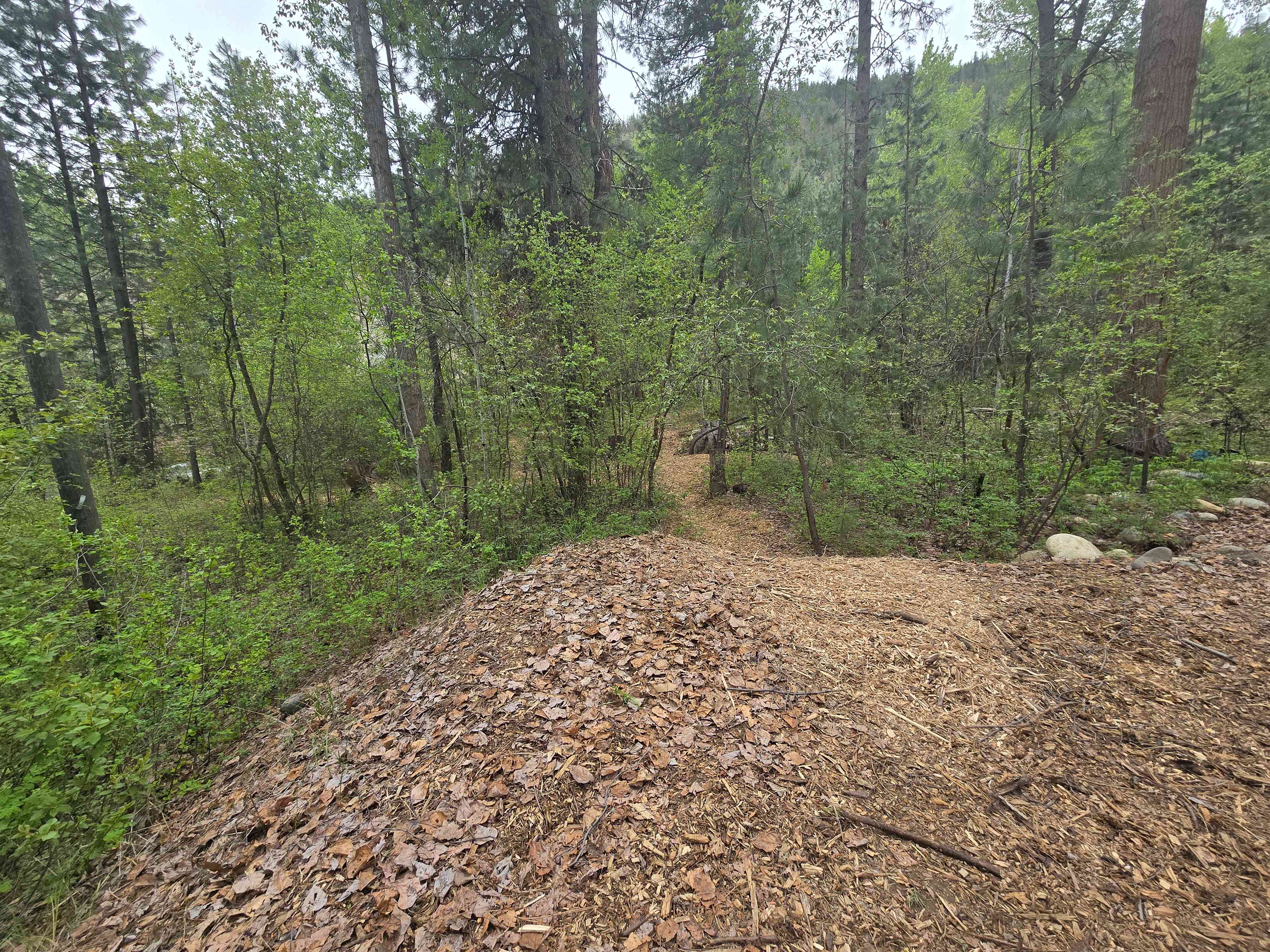 Entrance from driveway