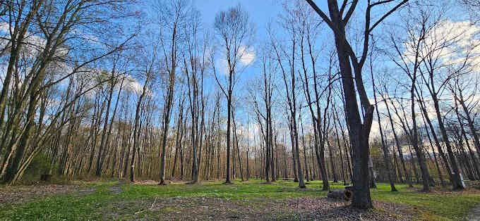 Tall Oaks Campground