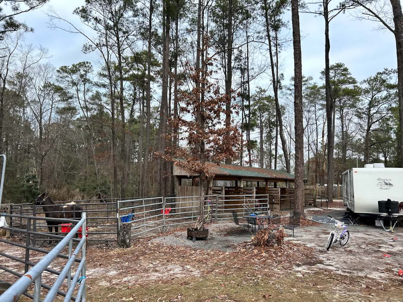 Daily Walk Stables WELCOME CAMPERS