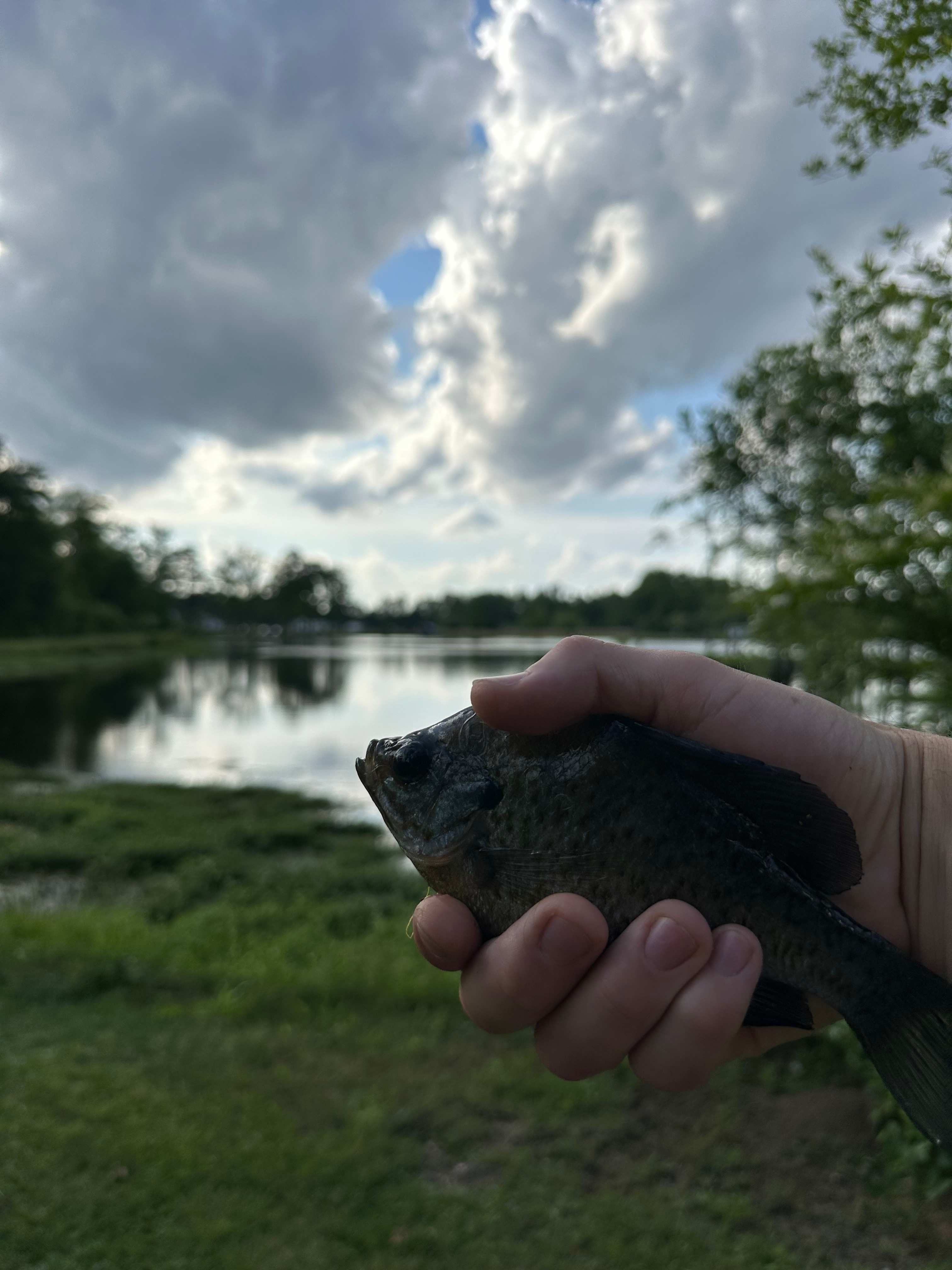 JCO Campground at Lee Baysden Pond