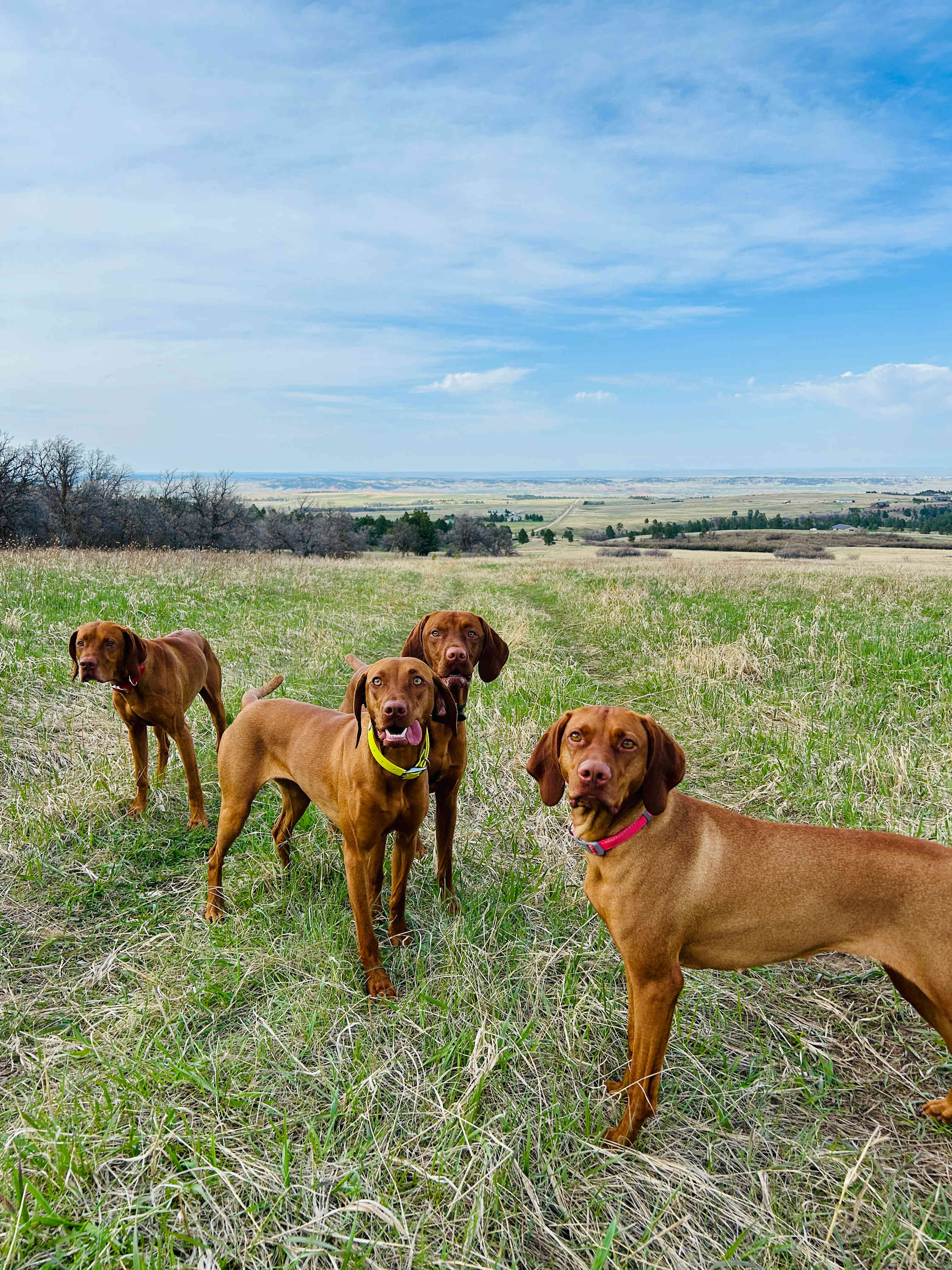 Crow Peak’s Last Best Place