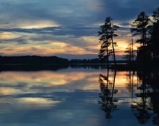 Steele Creek Marina & Campground