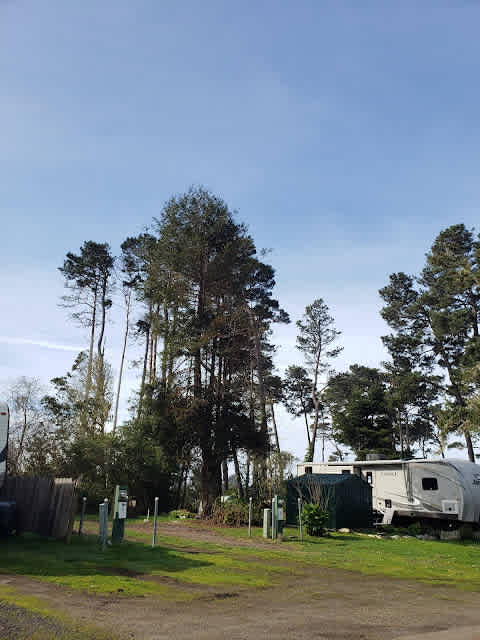 Hidden Pines RV Park Campground