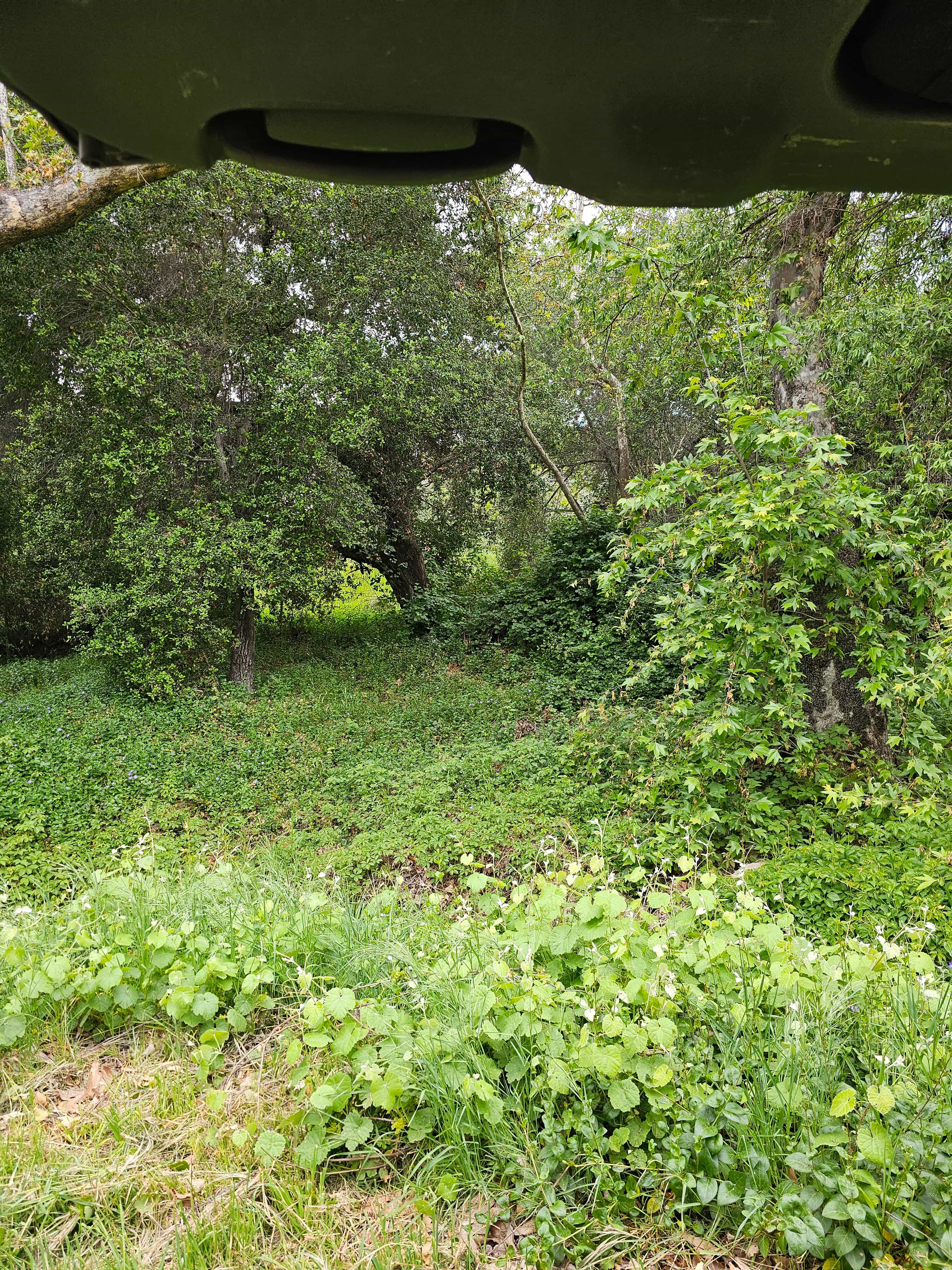 San Diego Canyon Creek
