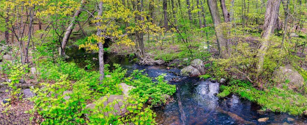 Camp Wyanokie