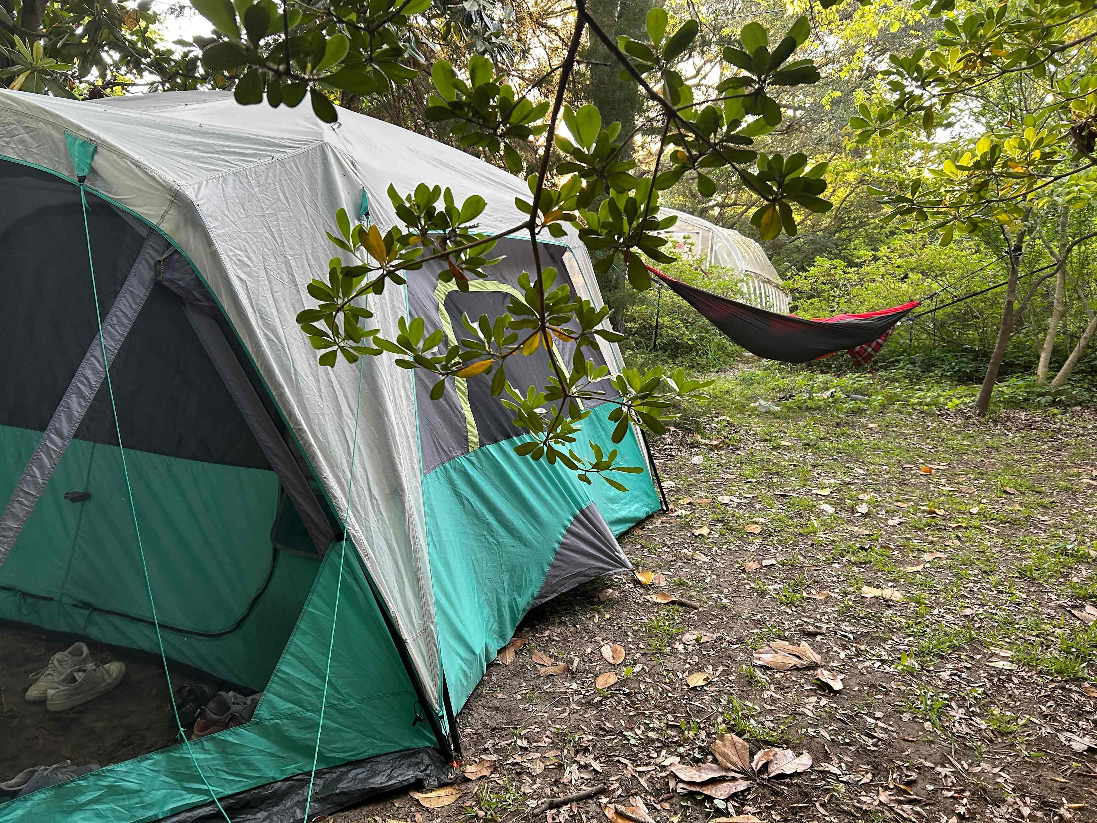 Campsite by the Honey House.
