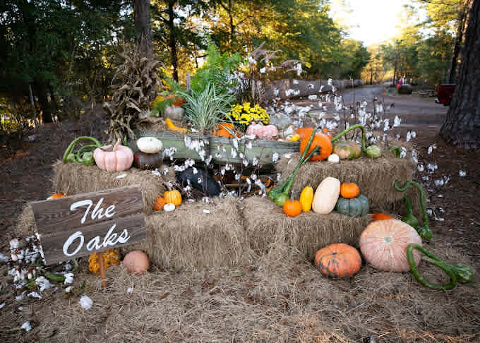 The Oaks Family RV Park & Campground