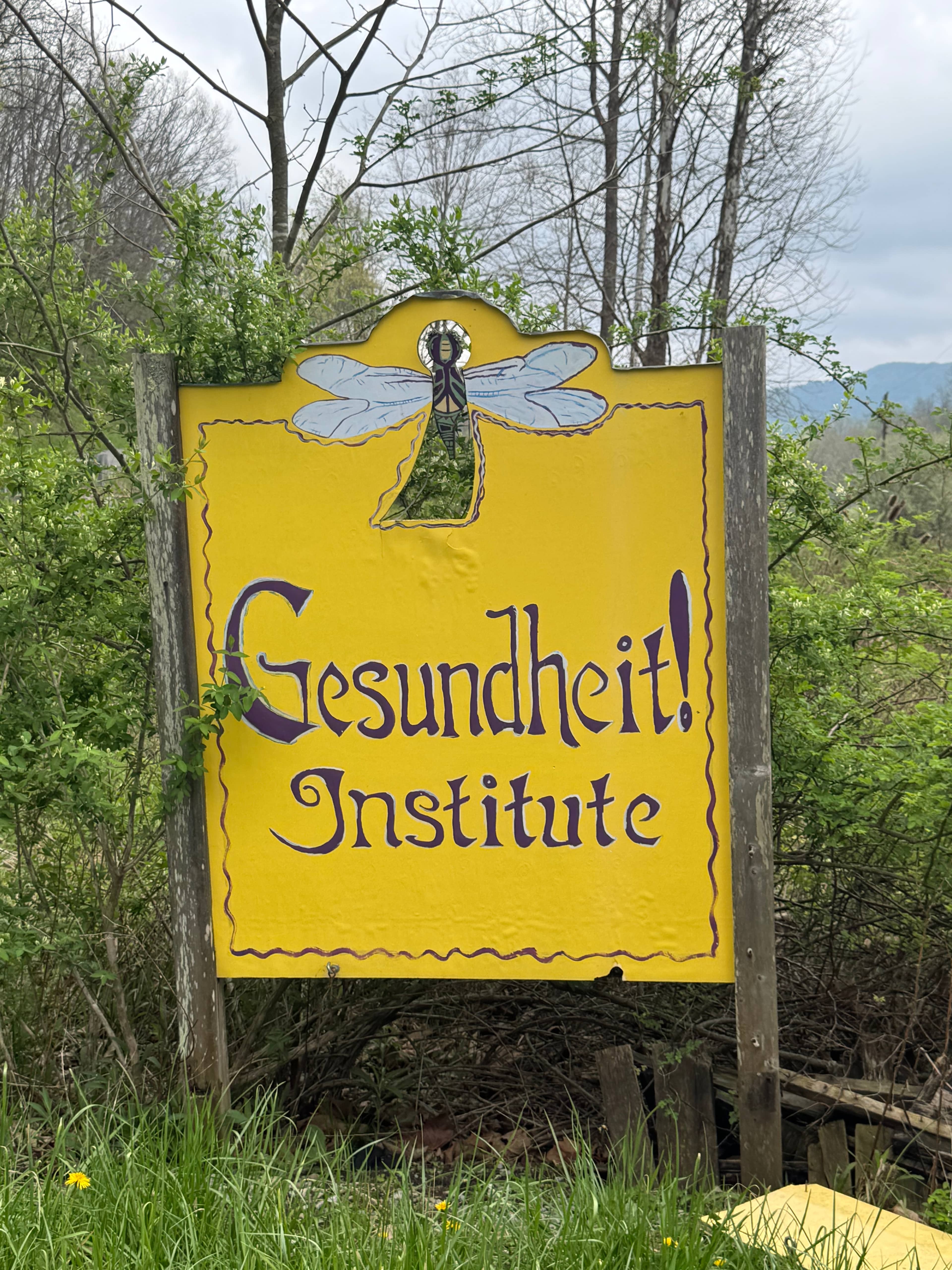 Gesundheit! Institute - Patch Adams