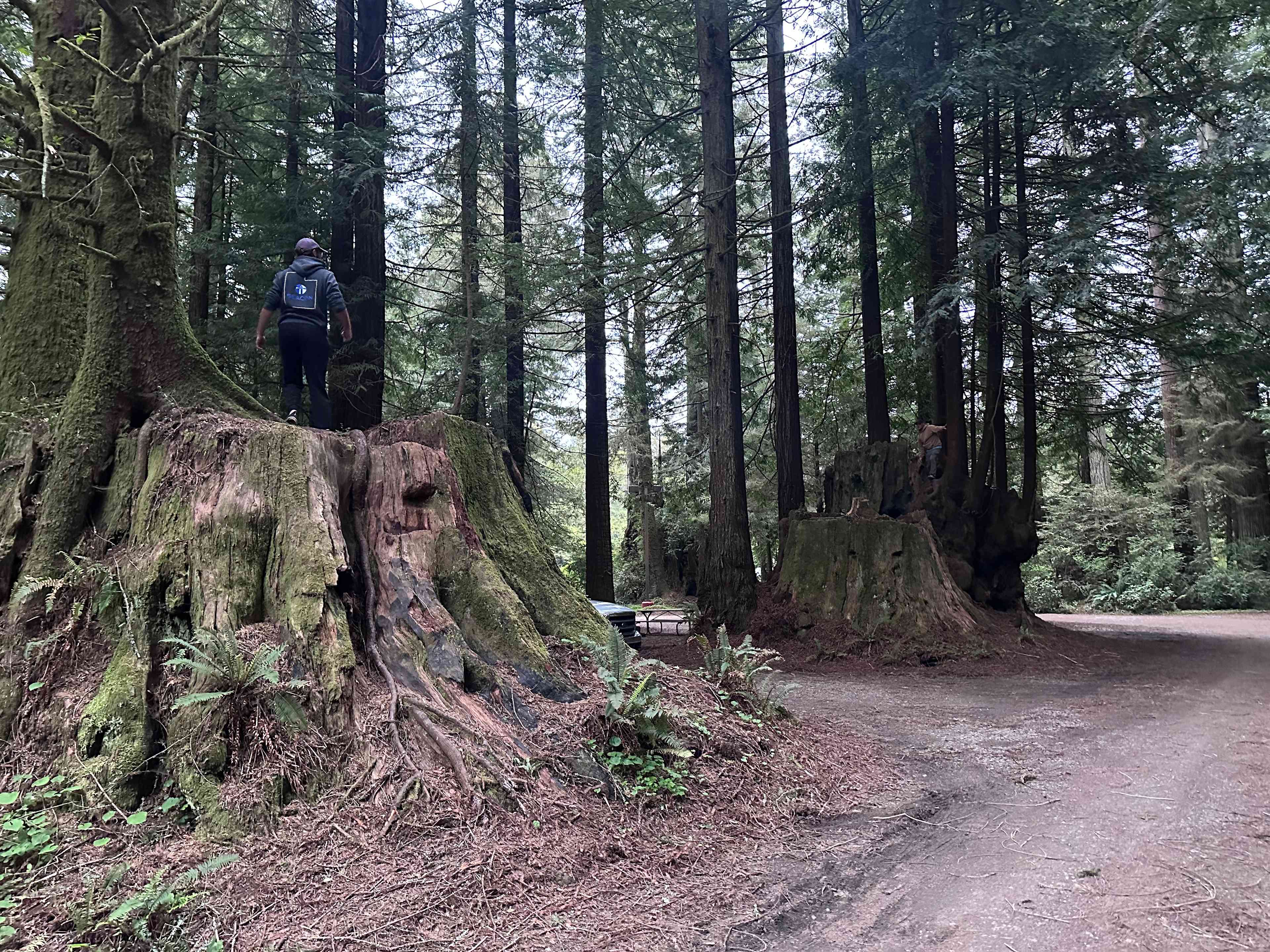 Ramblin' Redwoods Campground 
