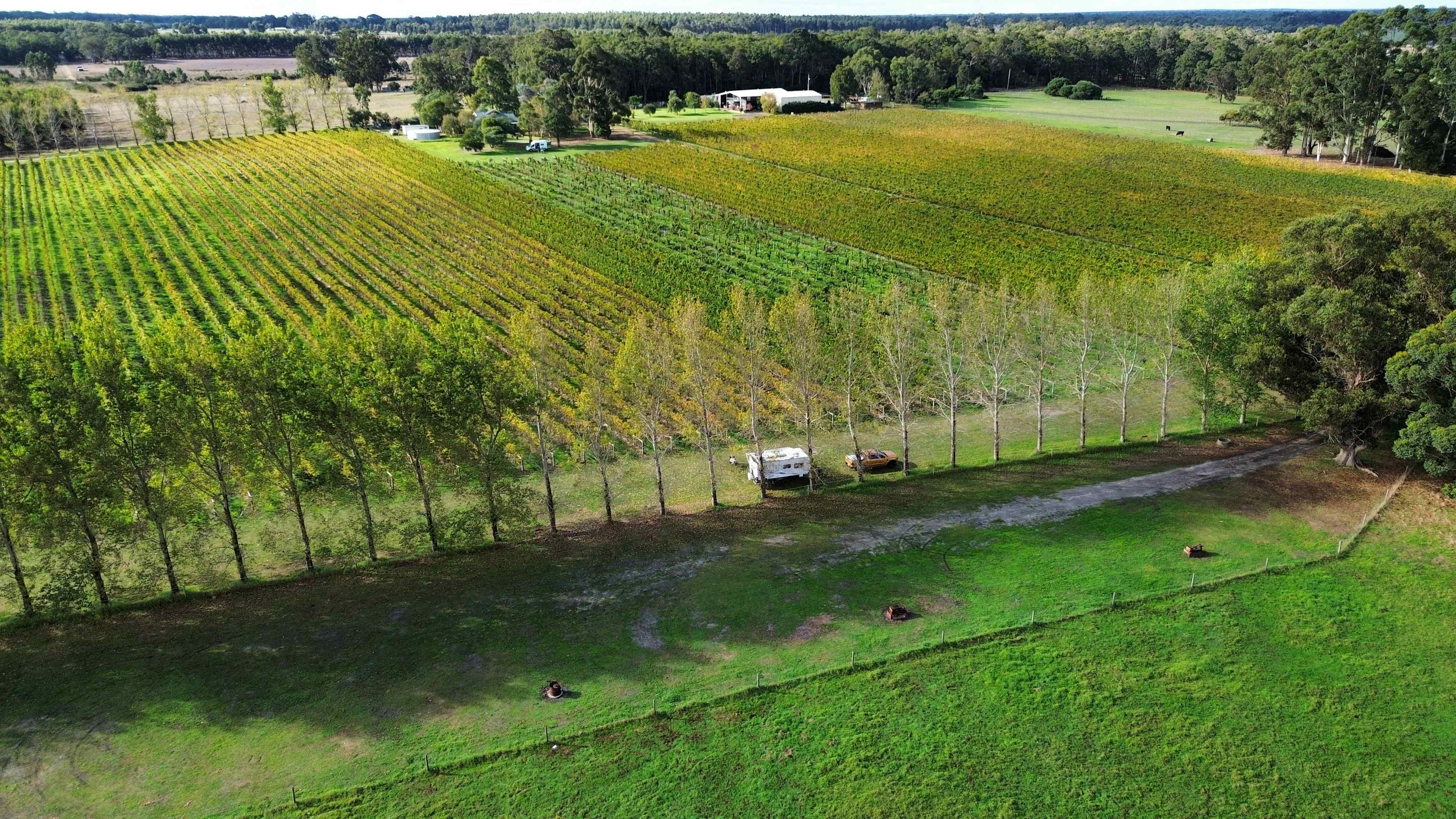 Jarvis Estate Winery & Camping