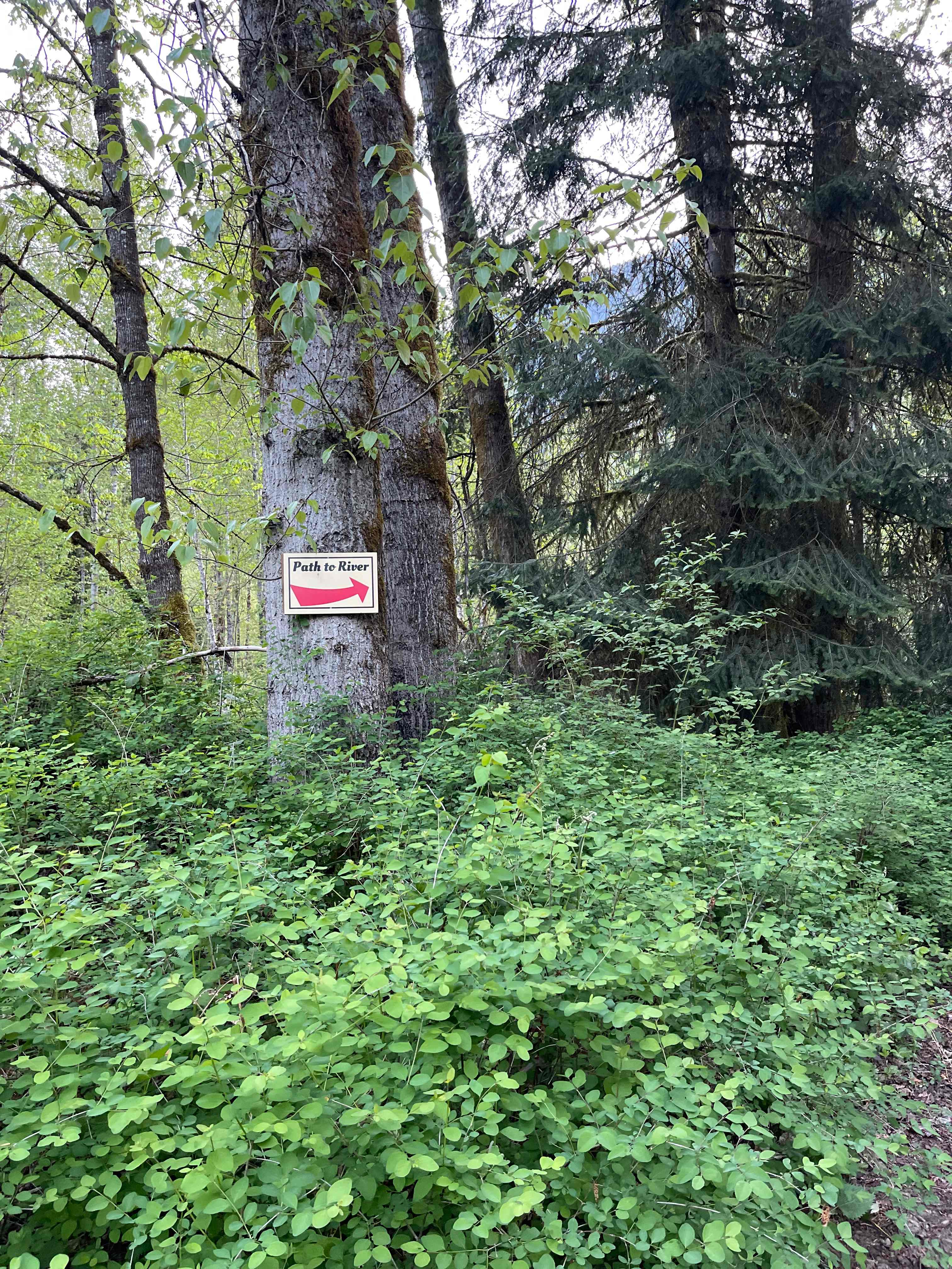 Clearly marked signs 