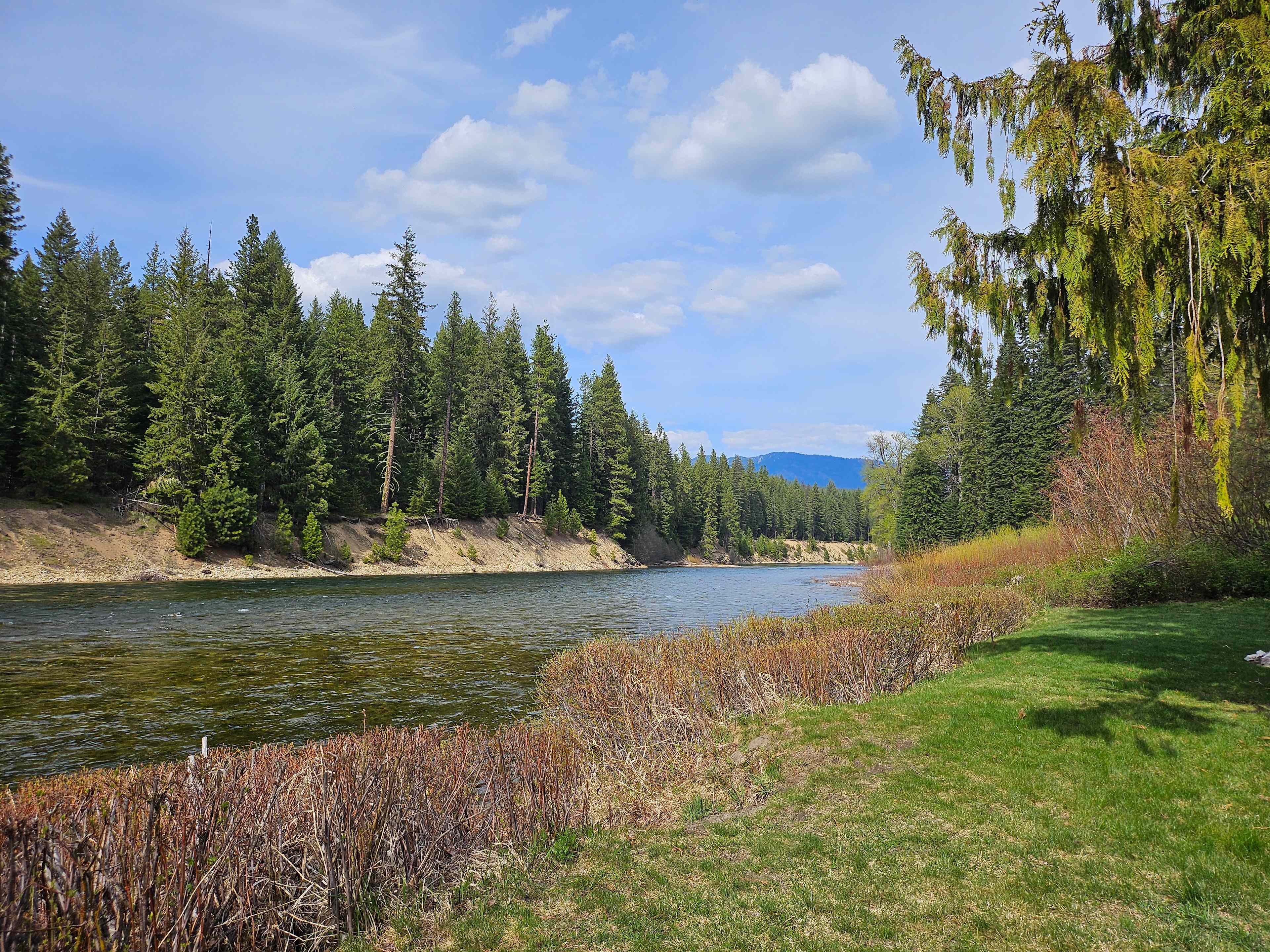 Camp River Run