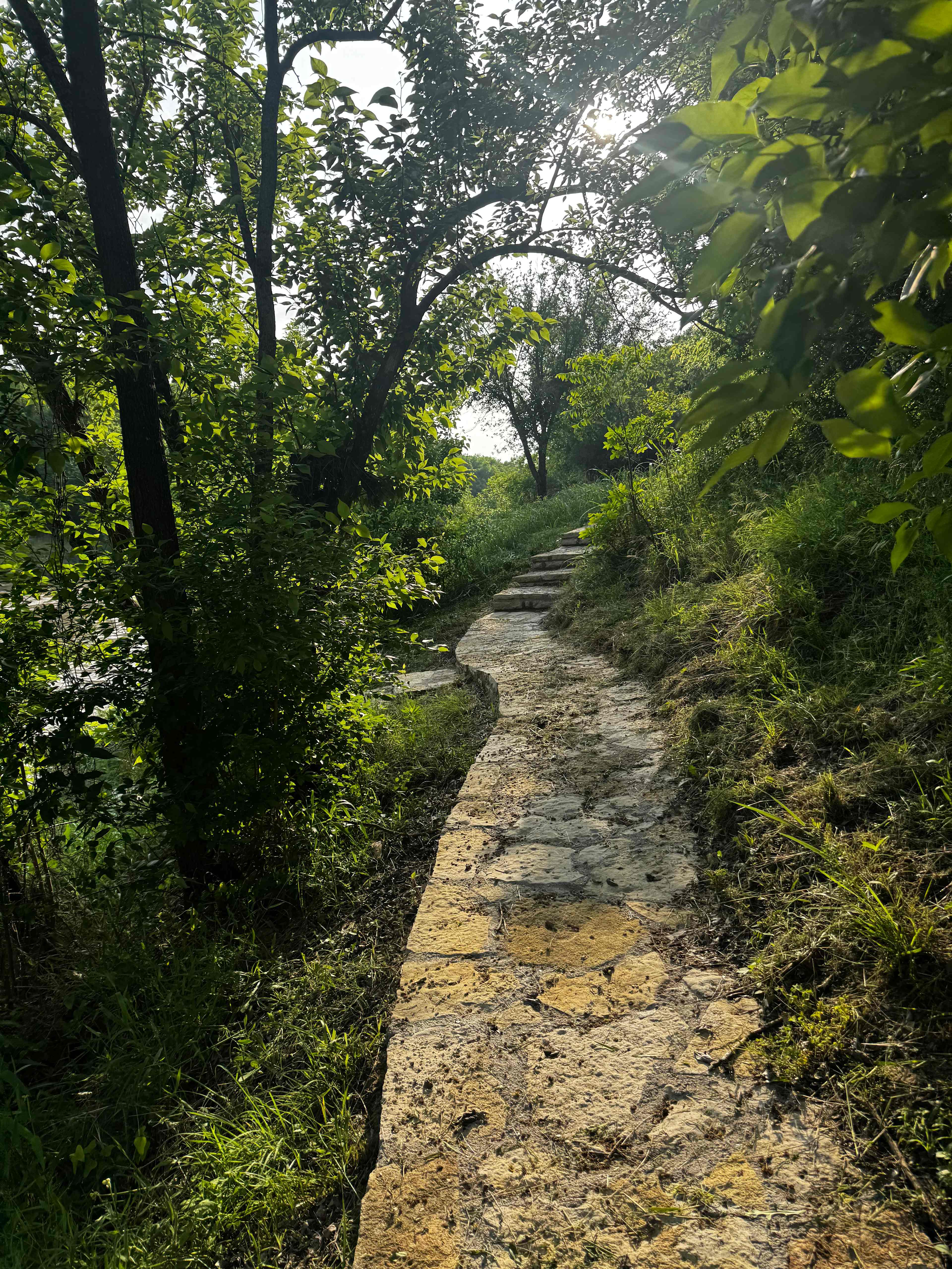 Pathway to site 2