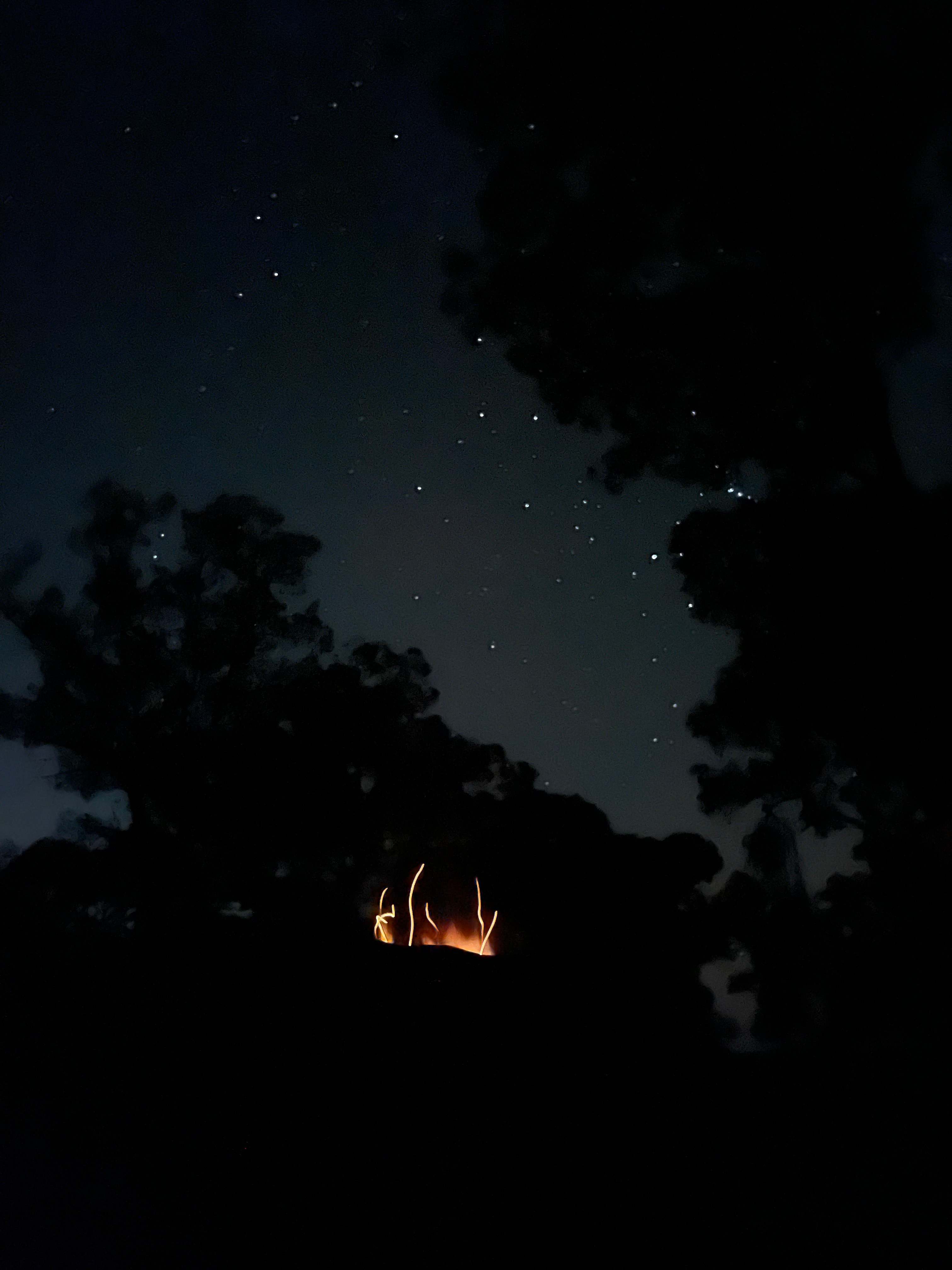 Cadagi Farm Stay in Central West NSW