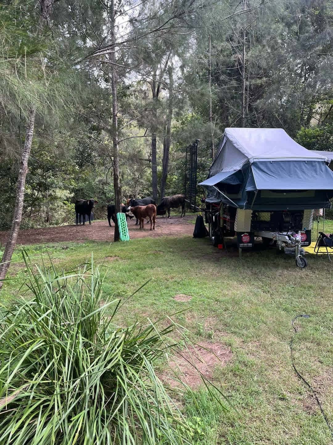 Christmas Creek Cedar Cabin & Camp