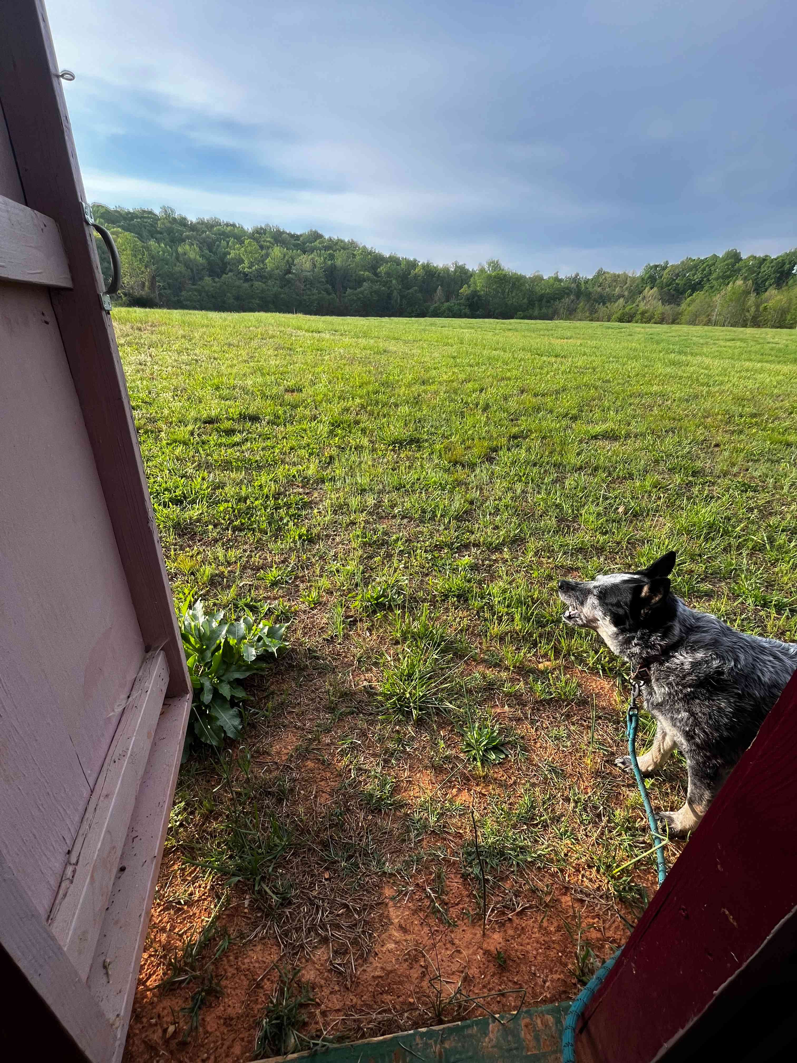 Honah Lee Farms