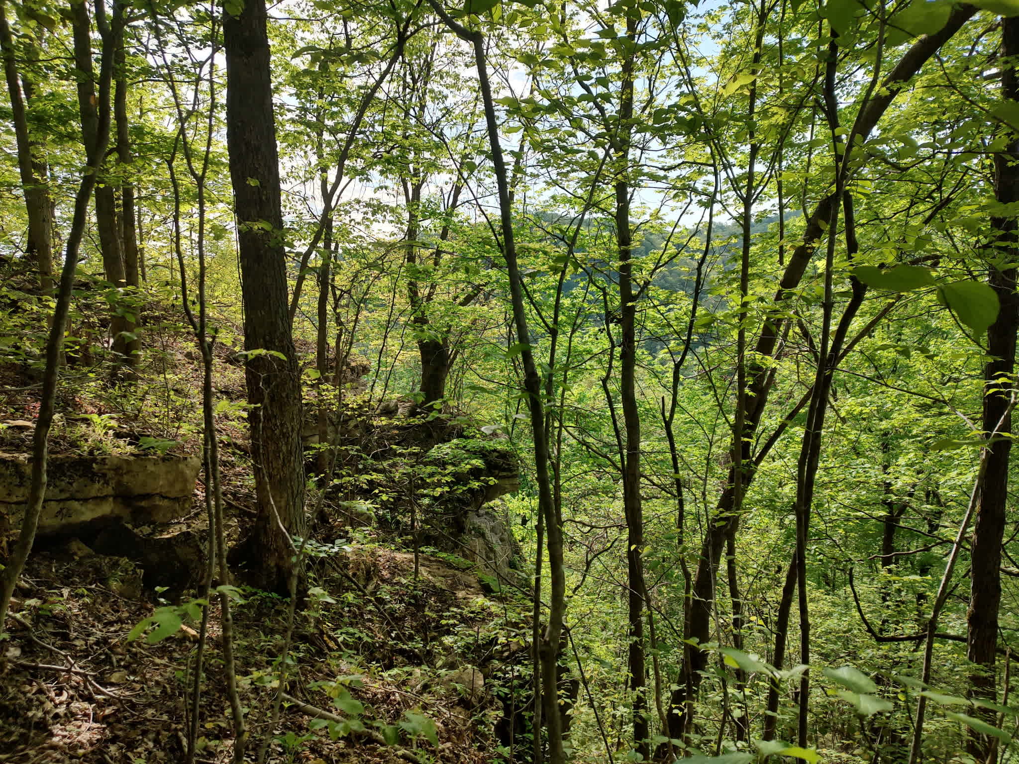 Camp Middle Fork