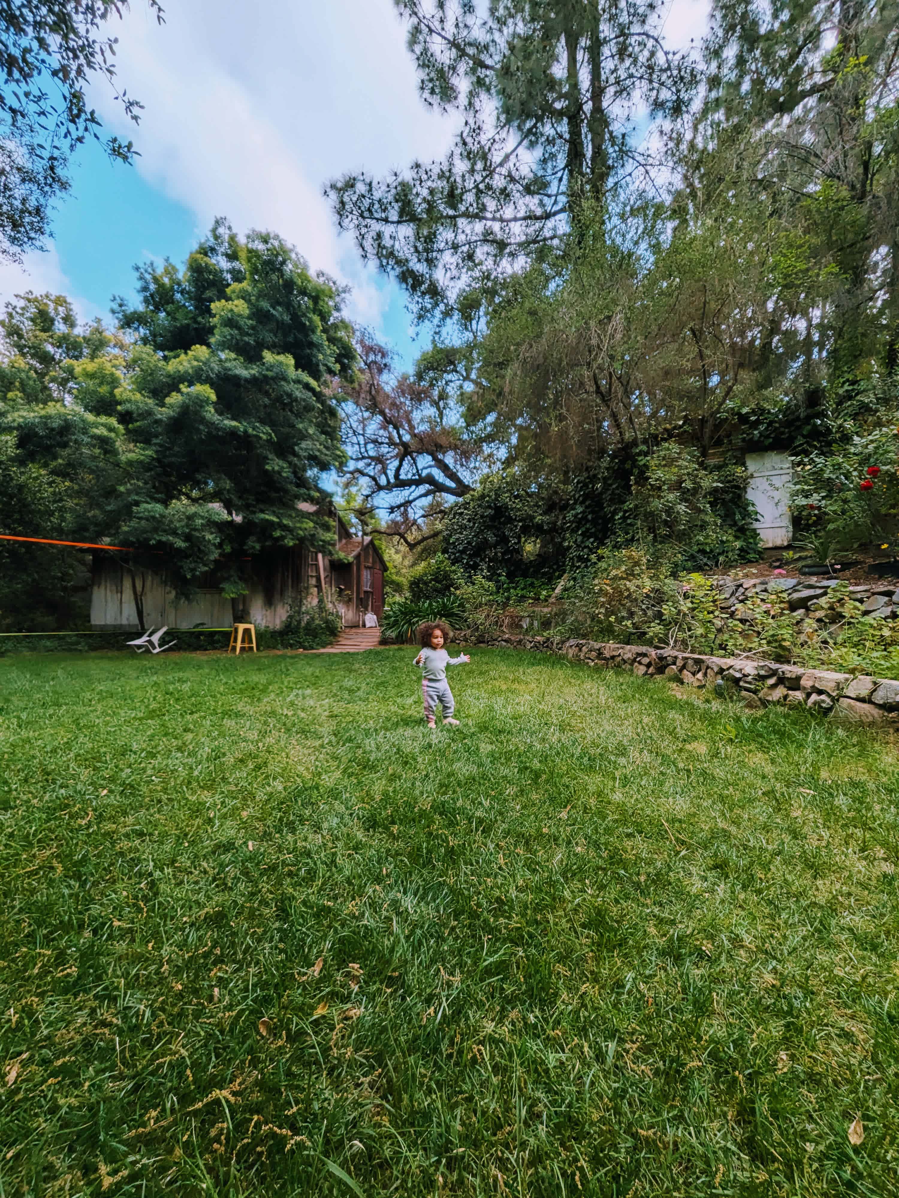 Wild Seeds Ranch