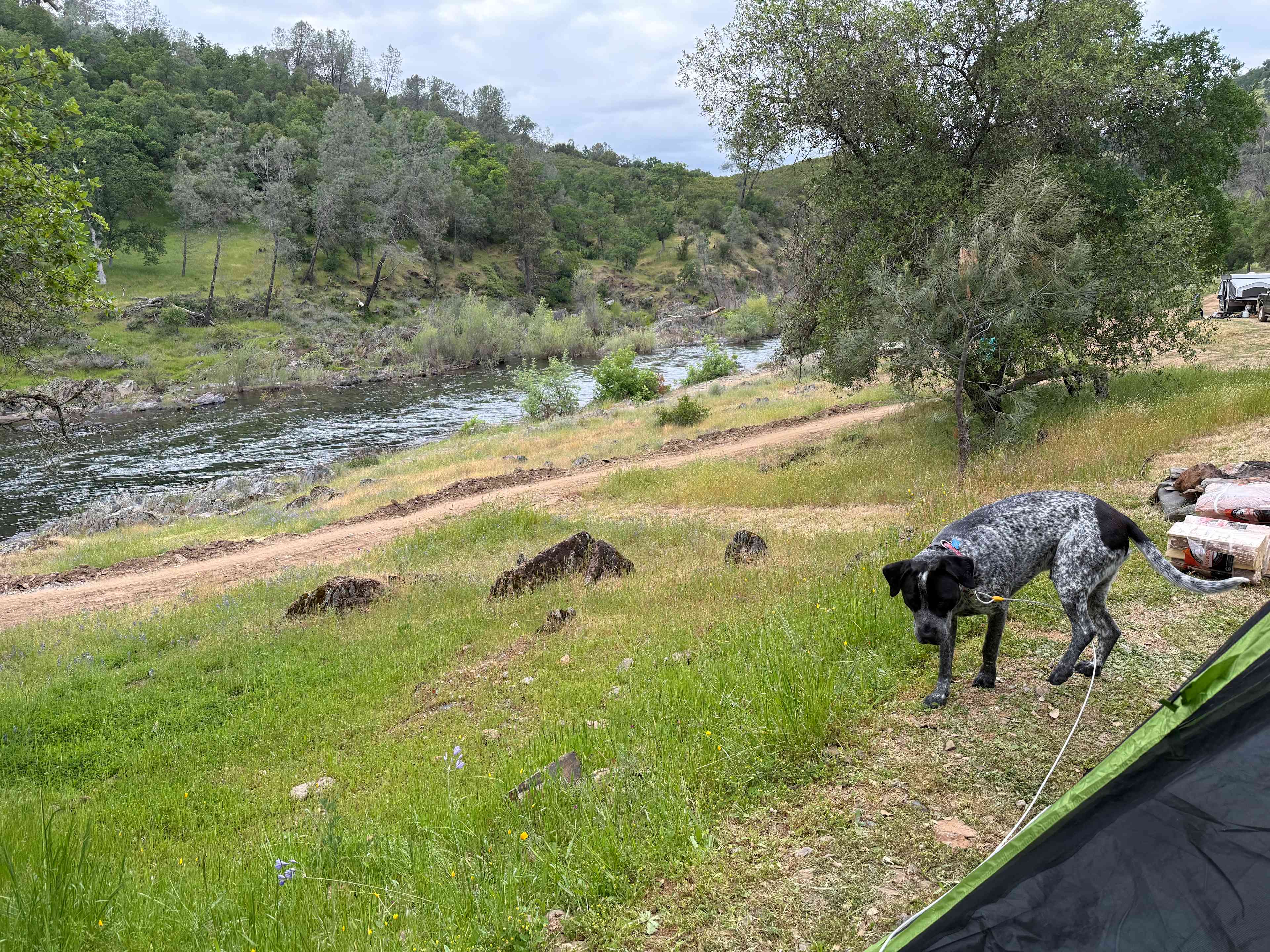 Cosumnes River Ranch