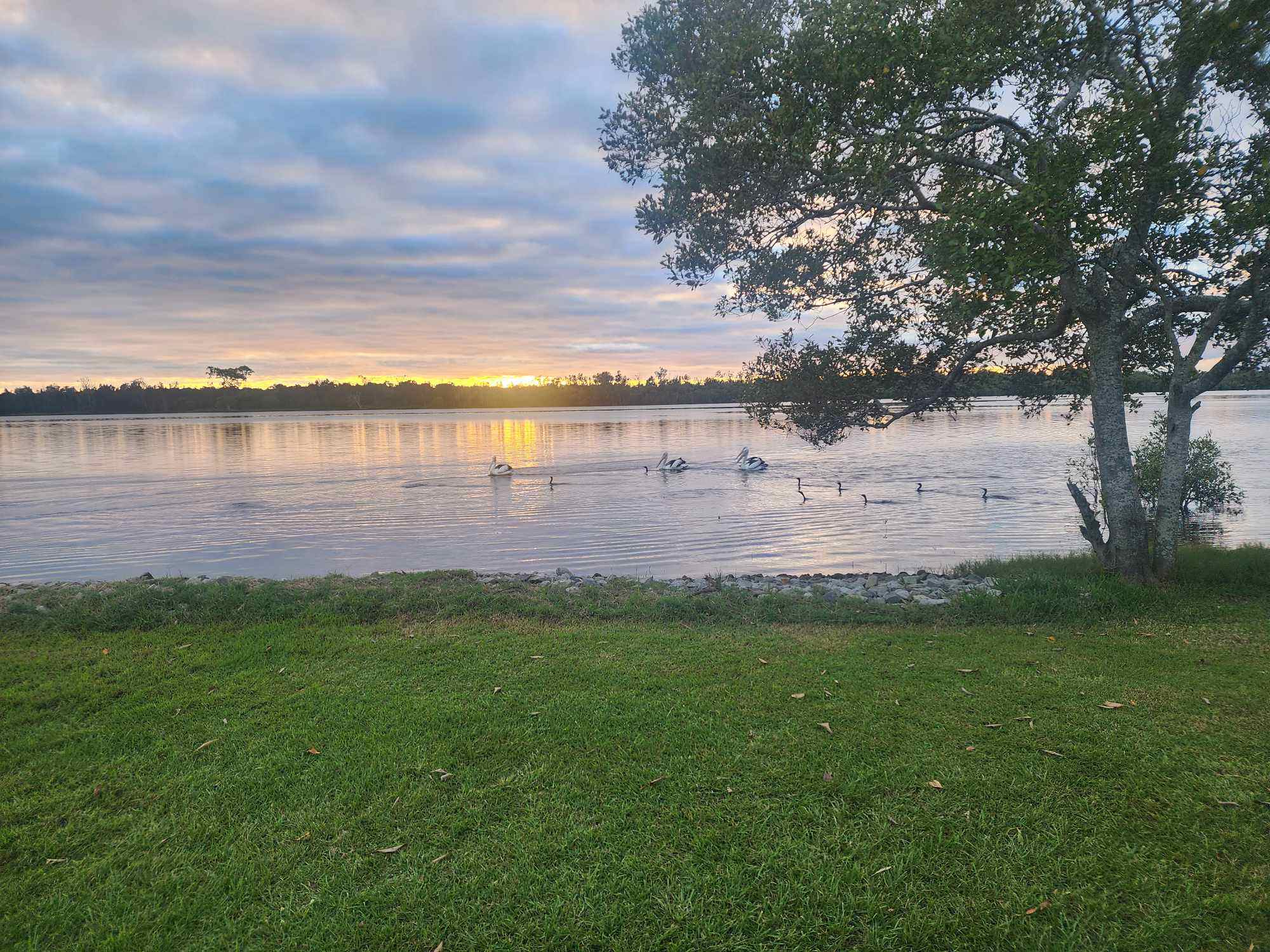 Riverside Rest