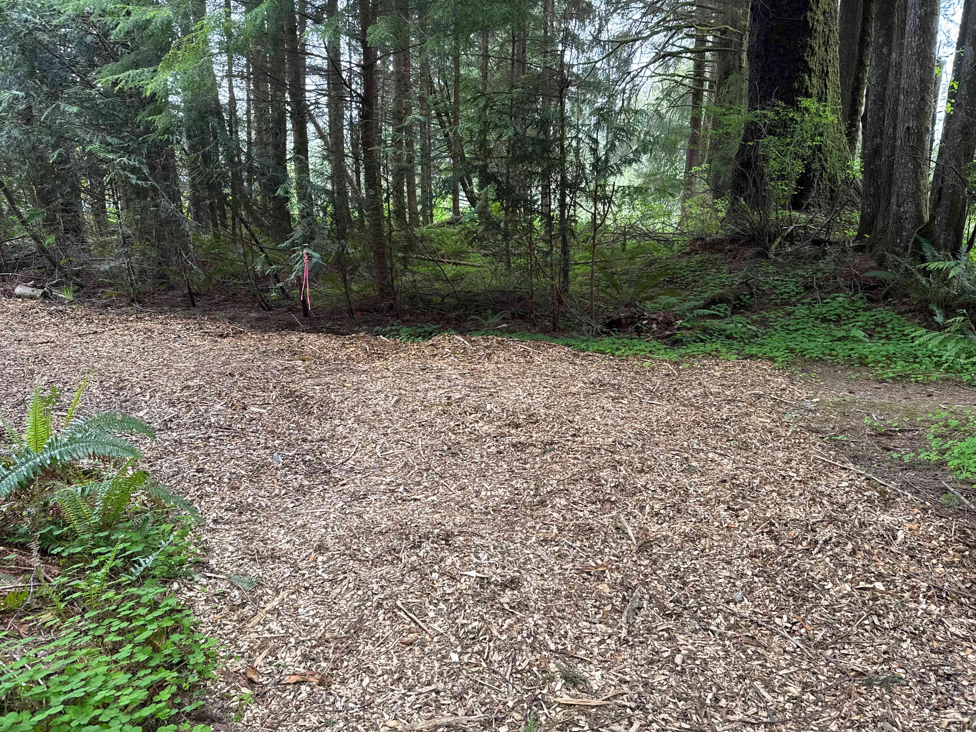 RV parking/ camping site on wood chips