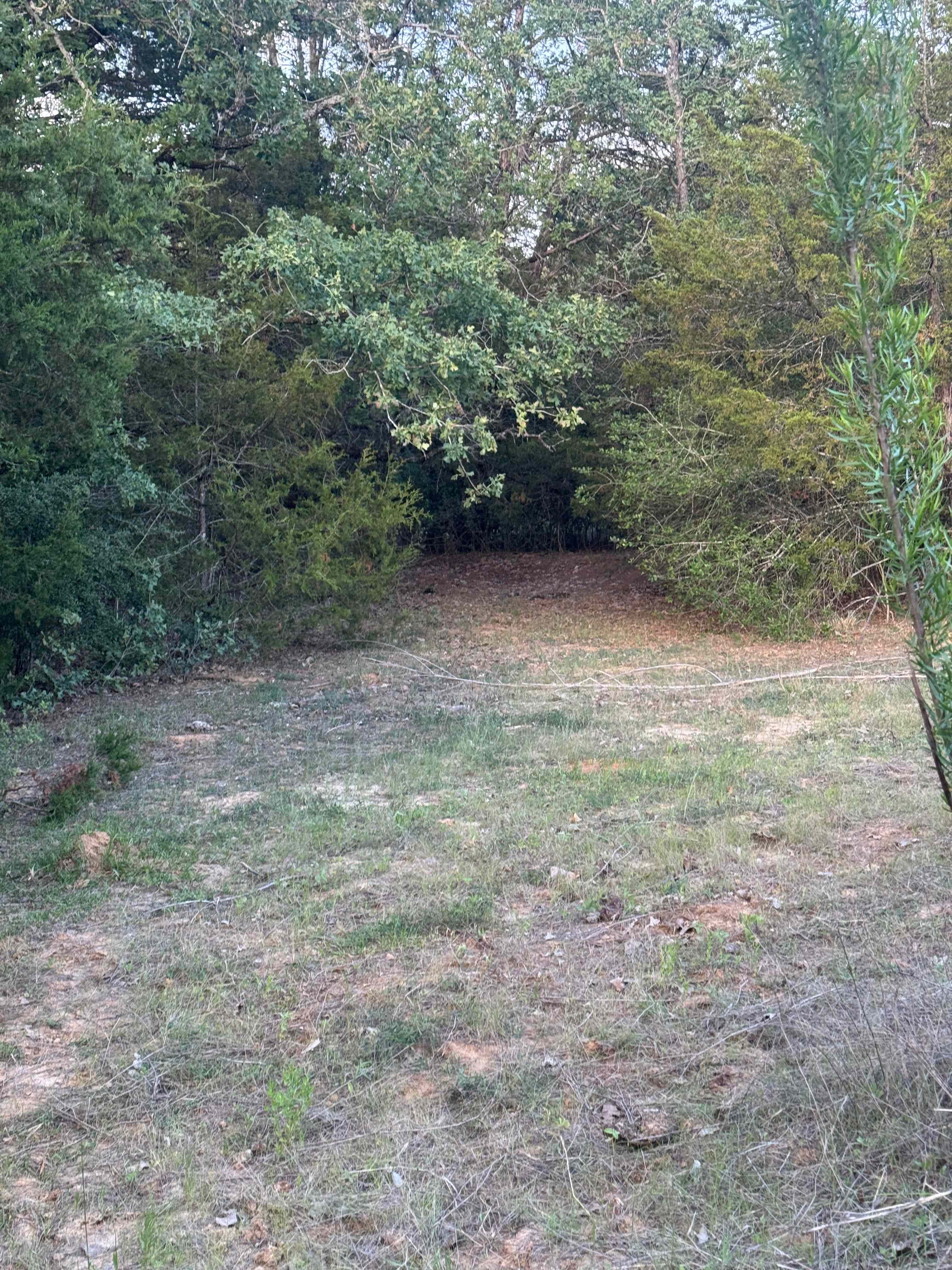 Alchemy Ranch