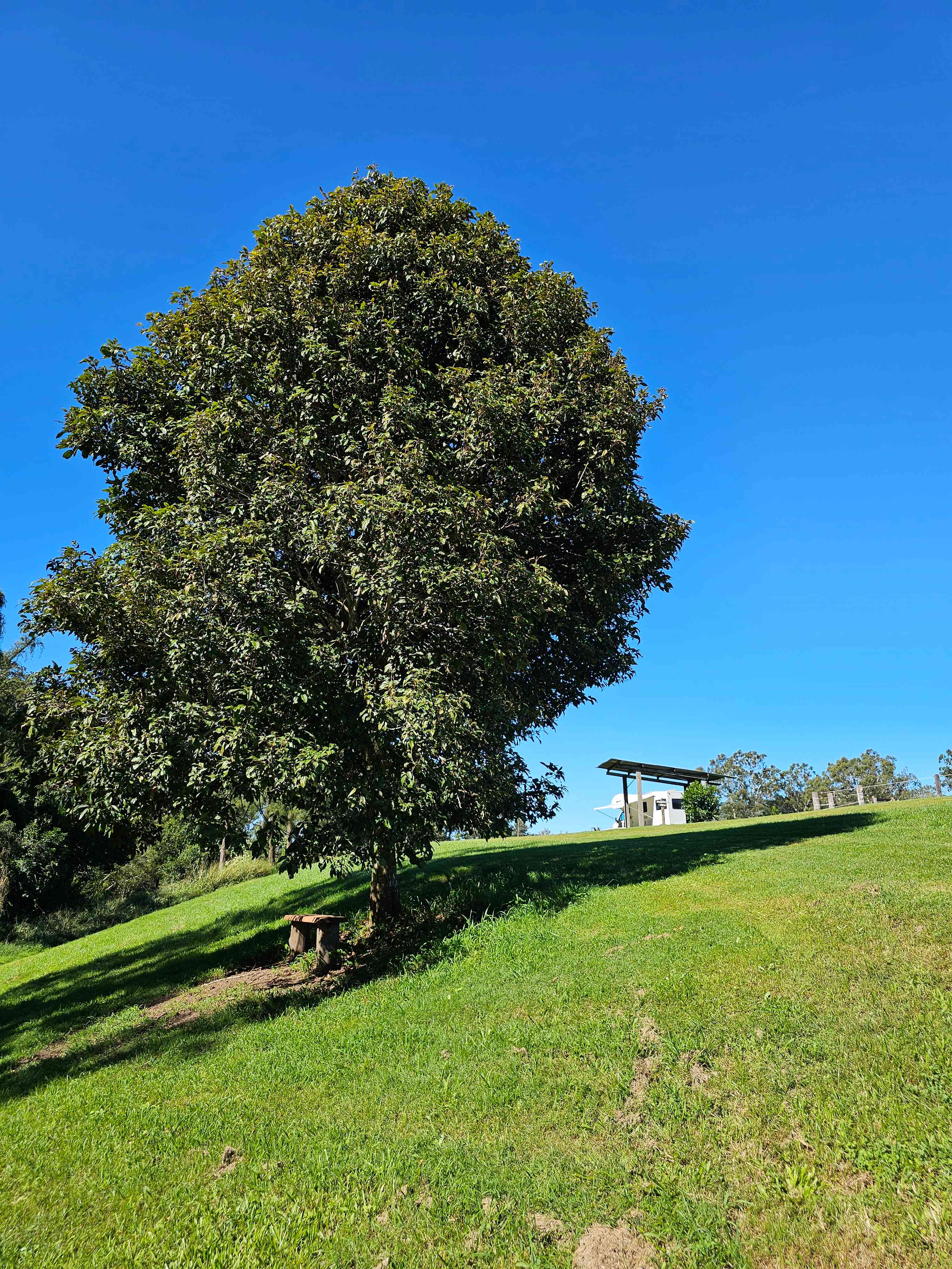 Yabba Creek Farm