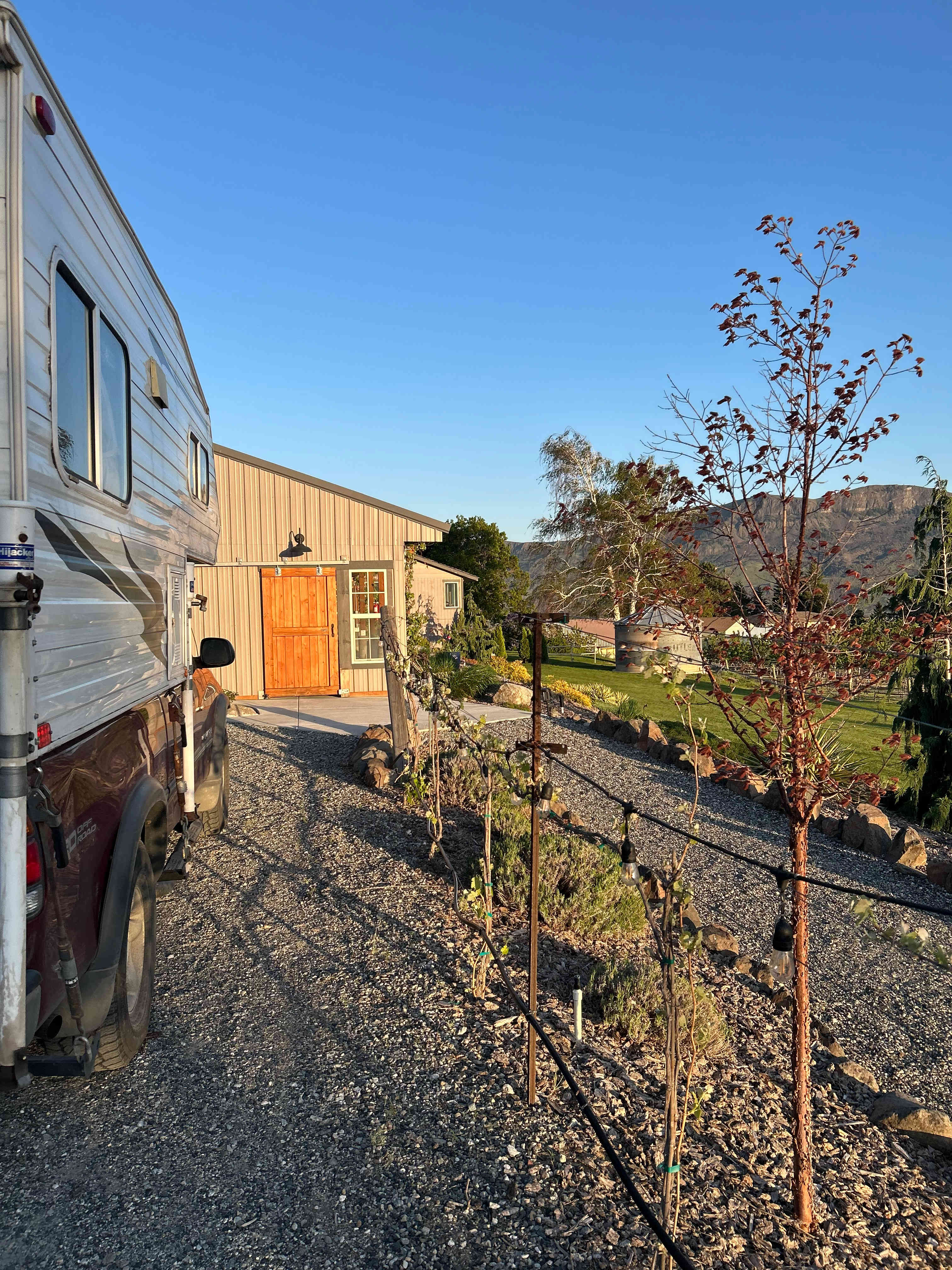 Bianchi Vineyards RV Site