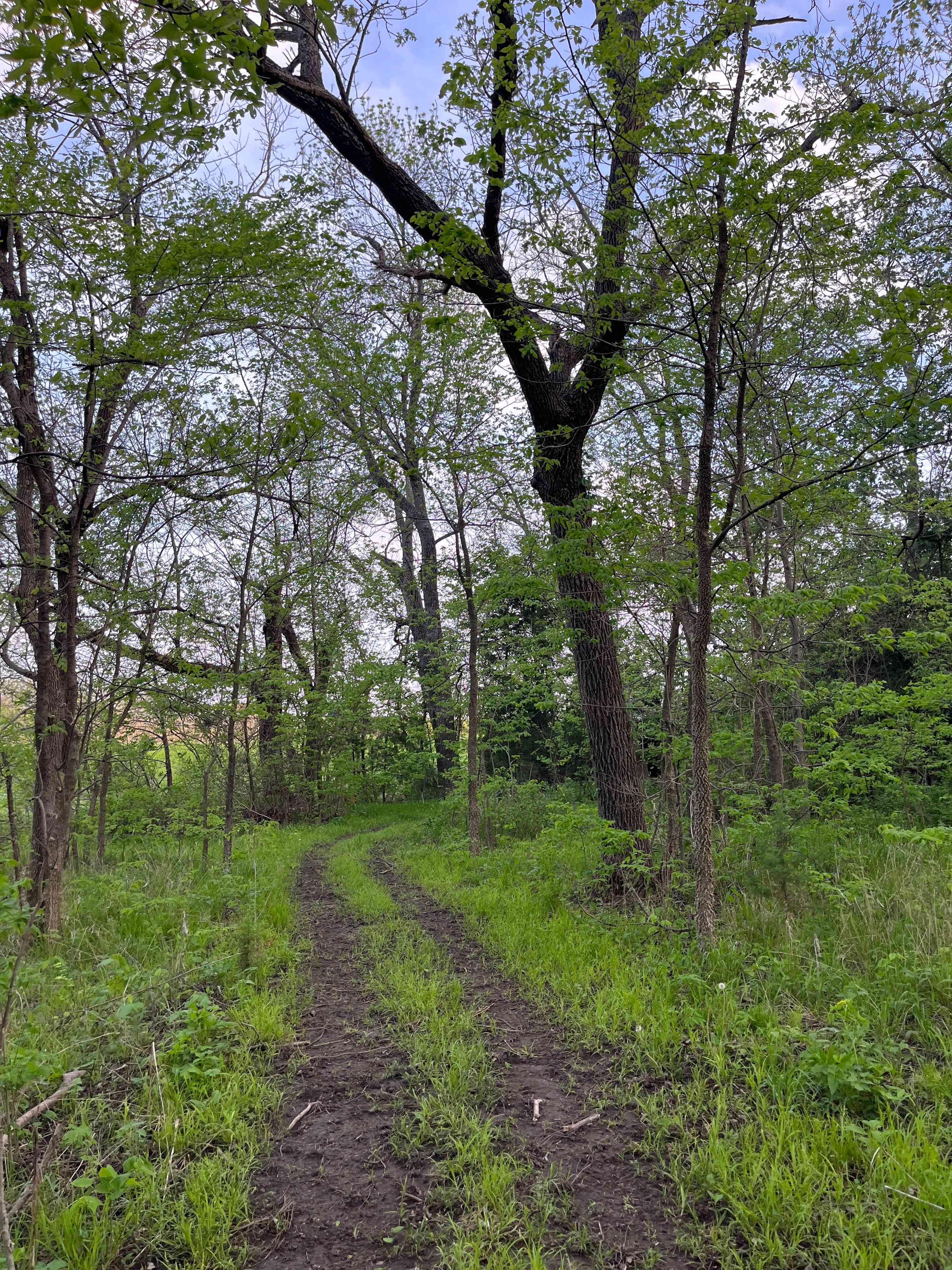 Solo Country Park