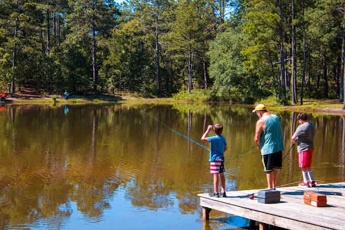 Sycamore Lodge RV Resort & Campgrounds in North Carolina