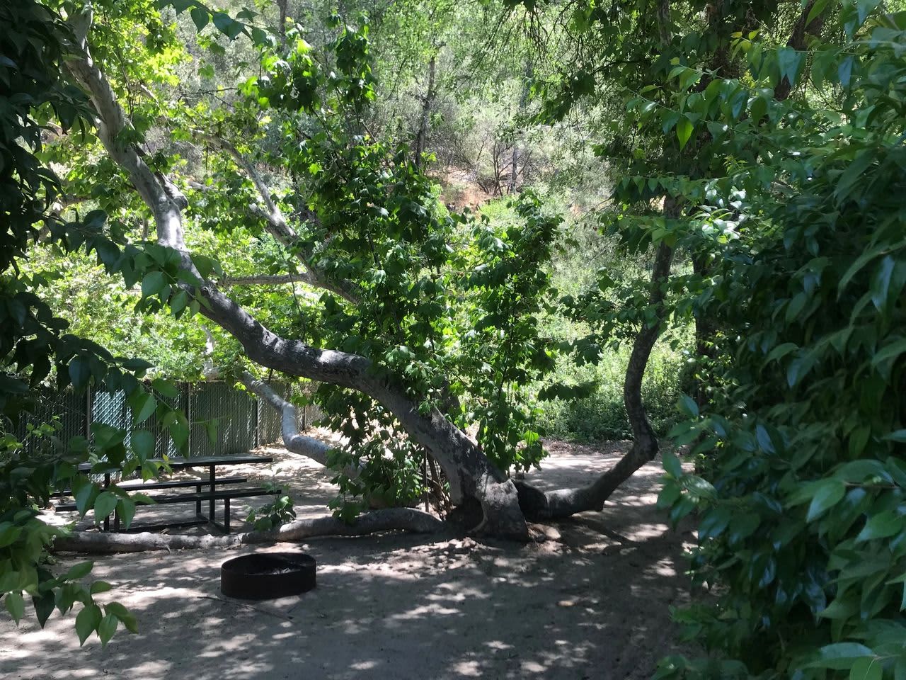 Kaweah Oaks Campground