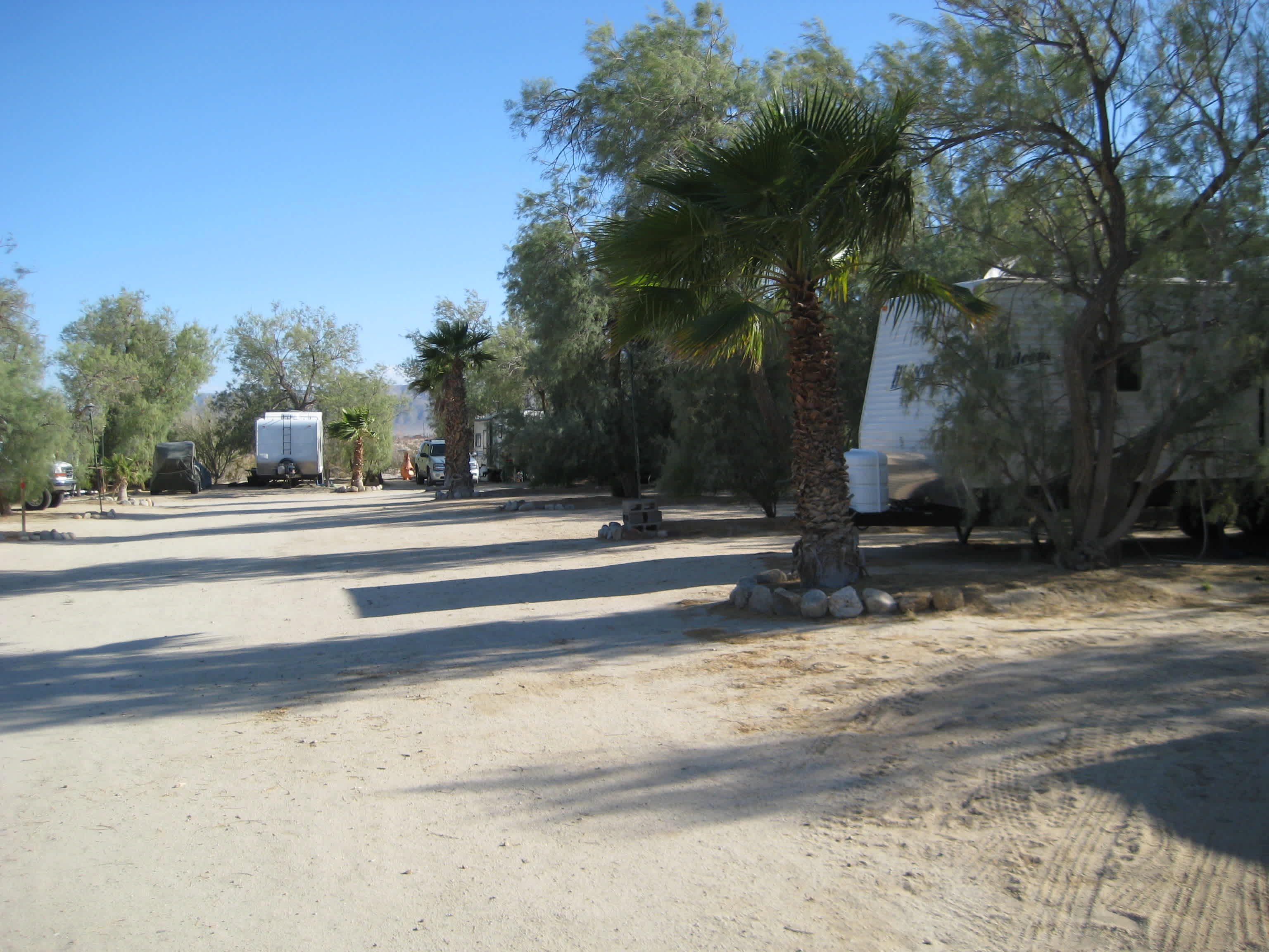 Leapin Lizard RV Ranch