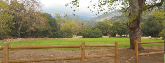 Steckel Park County Campground