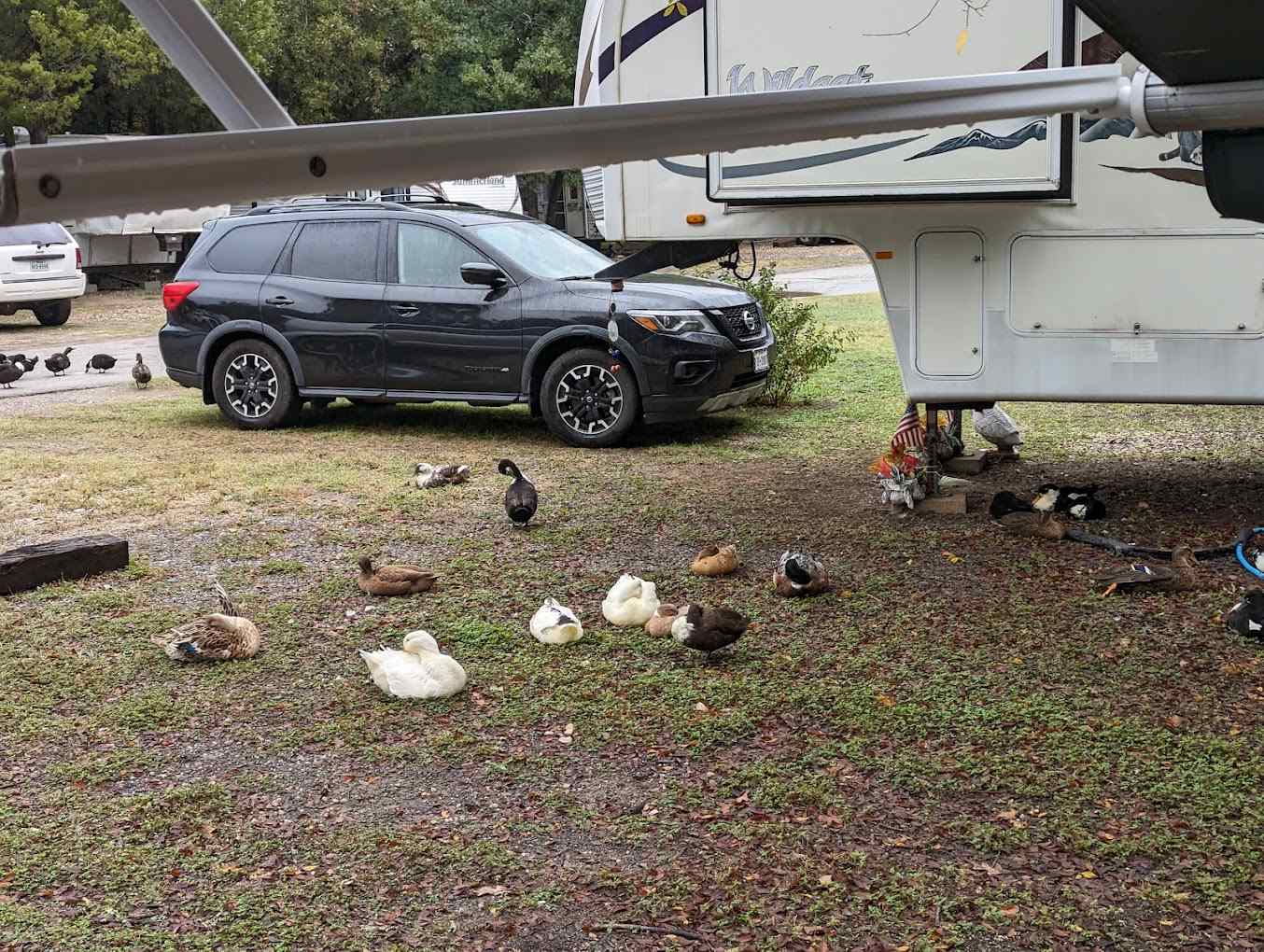 Cedar Grove RV Campground