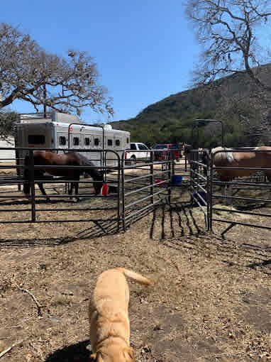 H.W. Lewis Ranch Campground