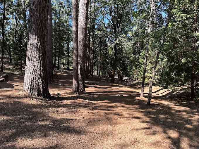 Long Ravine Campground