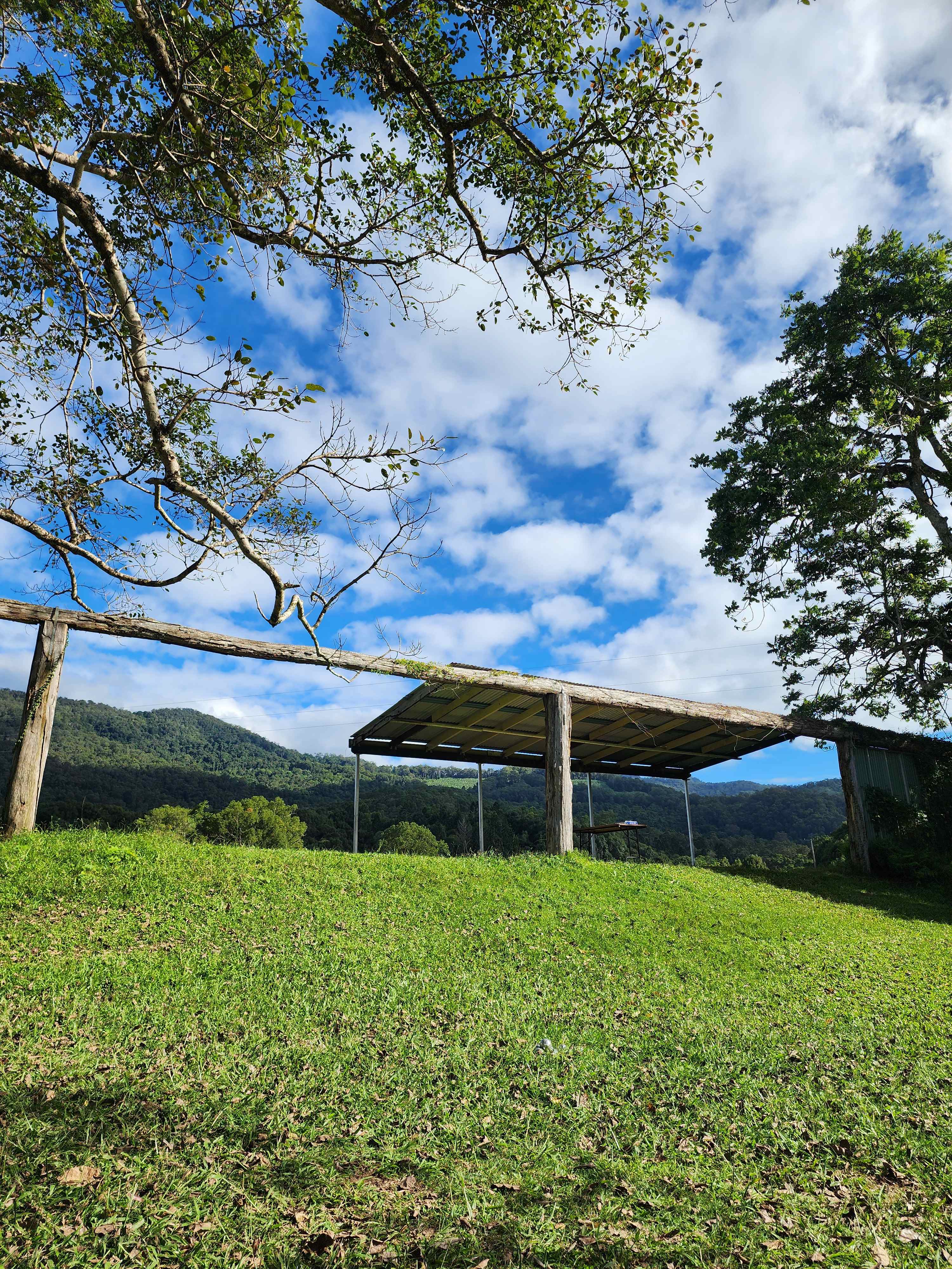 McKenzies Mountain, Wollumbin
