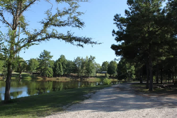 My Favorite Campground