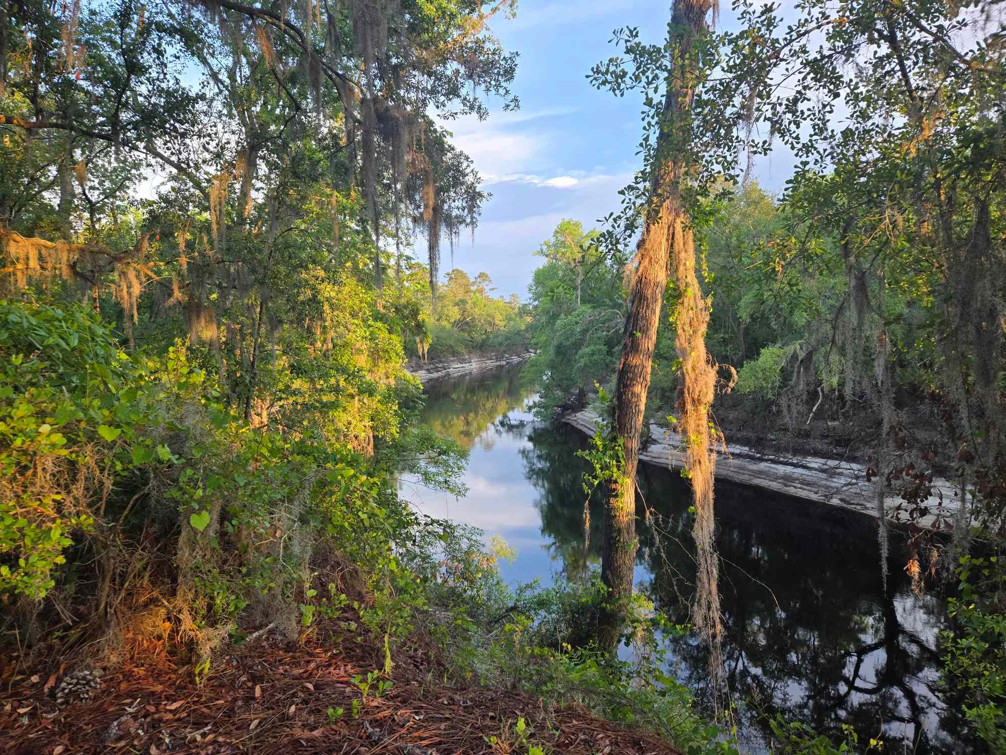 Suwanee River