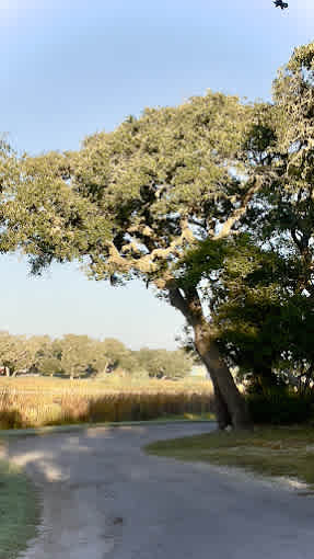 Bay View RV Resort