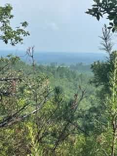 Cheaha Hideaway