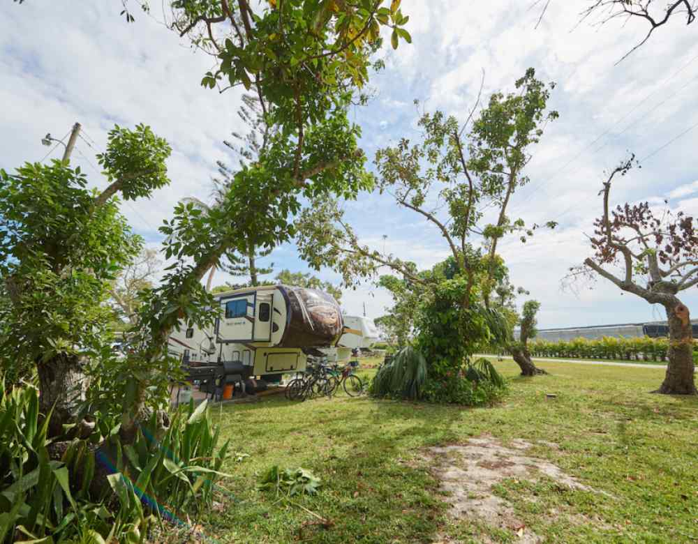 Encore Miami Everglades
