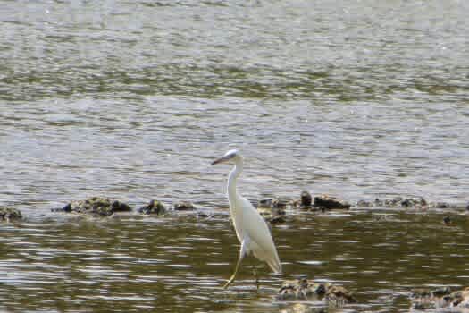 Hollywood Bottom Park - LCRA